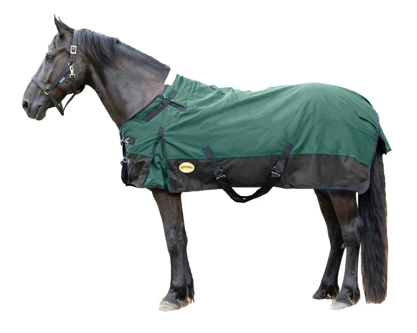 Resistance Premium 1200 Denier Waterproof Horse Turnout Blanket - 300 Grams Fill NewEngland Tack