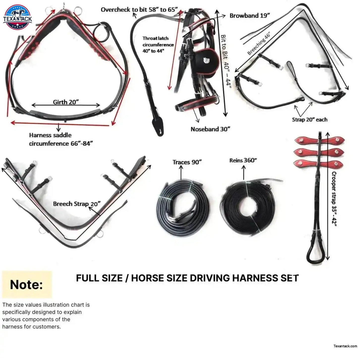 Black Horse Patent Leather Driving Harness Blue Trim Set Available In Miniature Small Pony Cob and Full Horse TEXANTACK