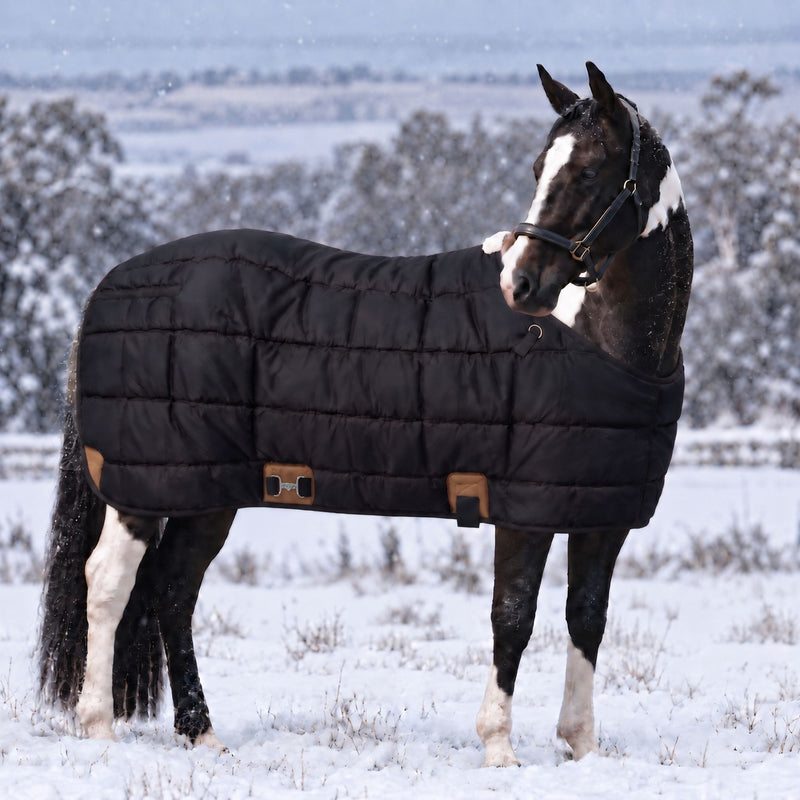 RESISTANCE 420G Heavyweight Winter Stable Blanket for Horses - 420 GSM Filll TEXANTACK