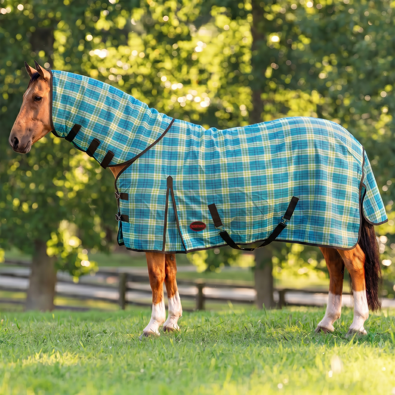 Combo Hard Mesh Fly Sheet with Detachable Neck Without Belly Wrap TEXANTACK