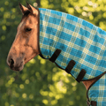 Combo Hard Mesh Fly Sheet with Detachable Neck Without Belly Wrap TEXANTACK