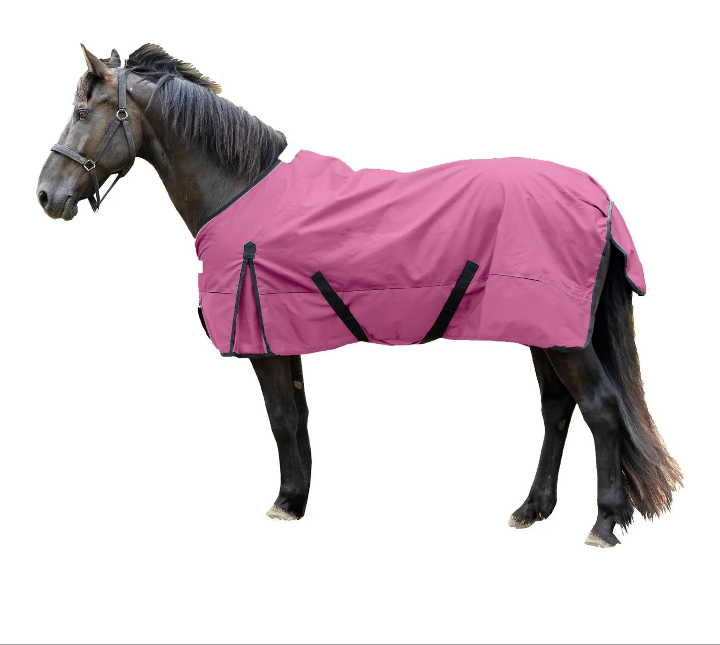 600 Denier Lightweight Waterproof & Breathable Horse Rain Sheet NewEngland Tack