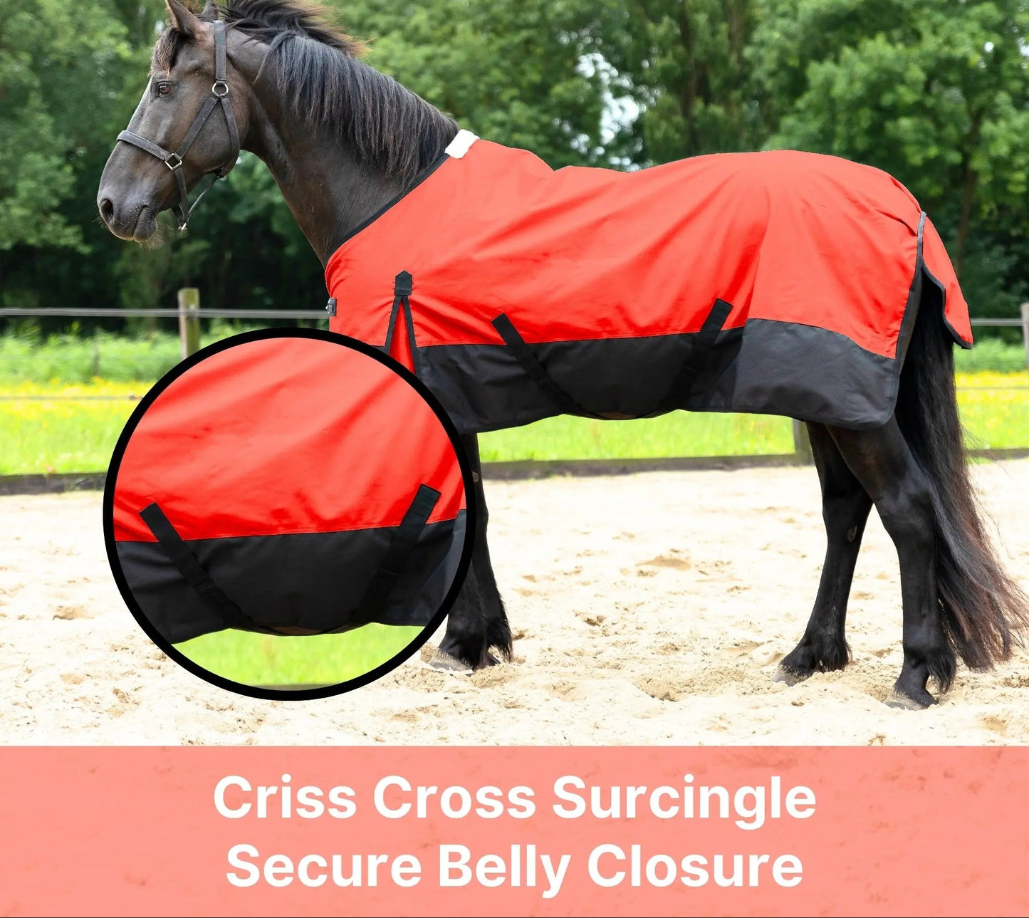 600 Denier Lightweight Waterproof & Breathable Horse Rain Sheet NewEngland Tack