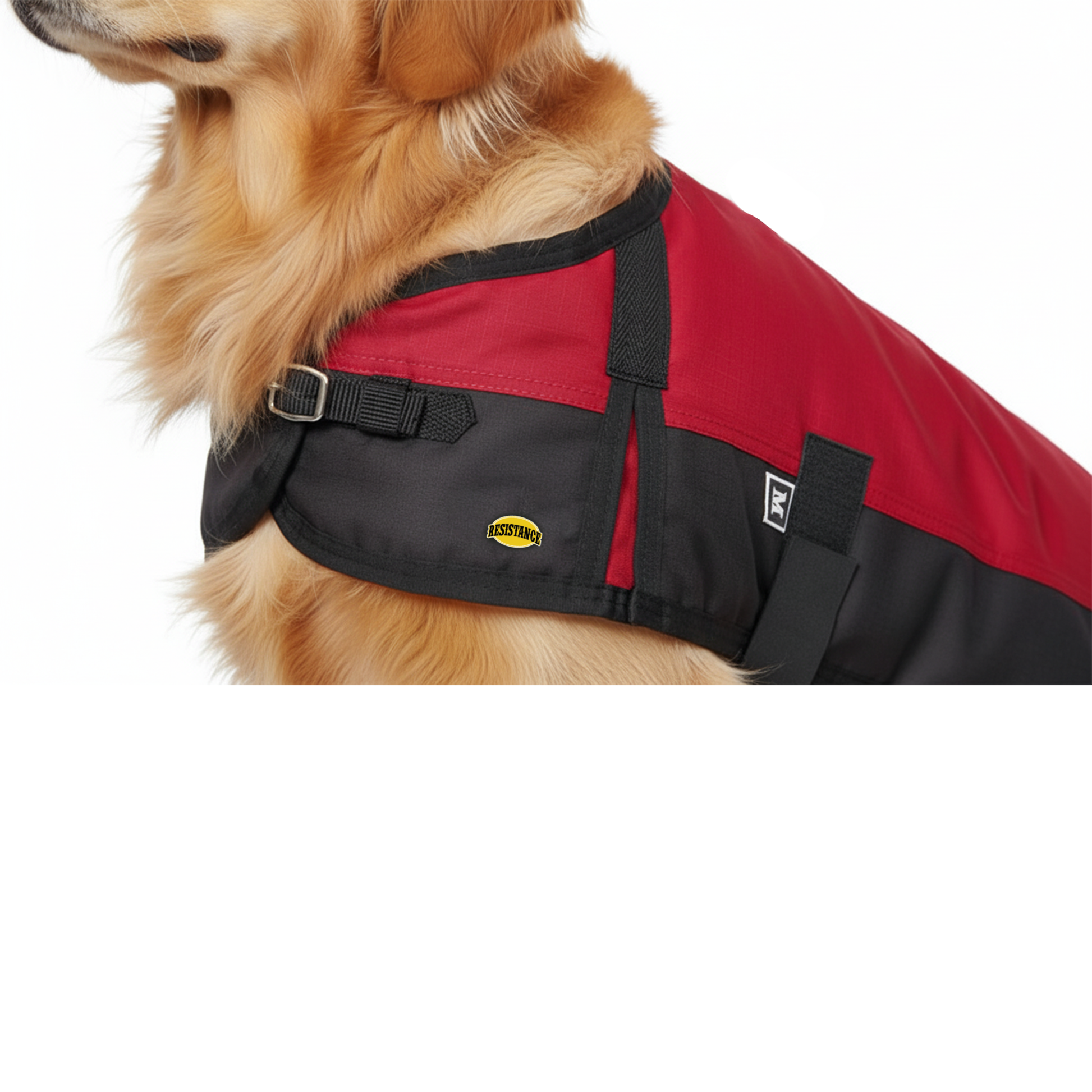 Resistance 600D Dog Blanket with Shoulder Gusset & Quick Grip Belly Band - 50 GSM fill NewEngland Tack