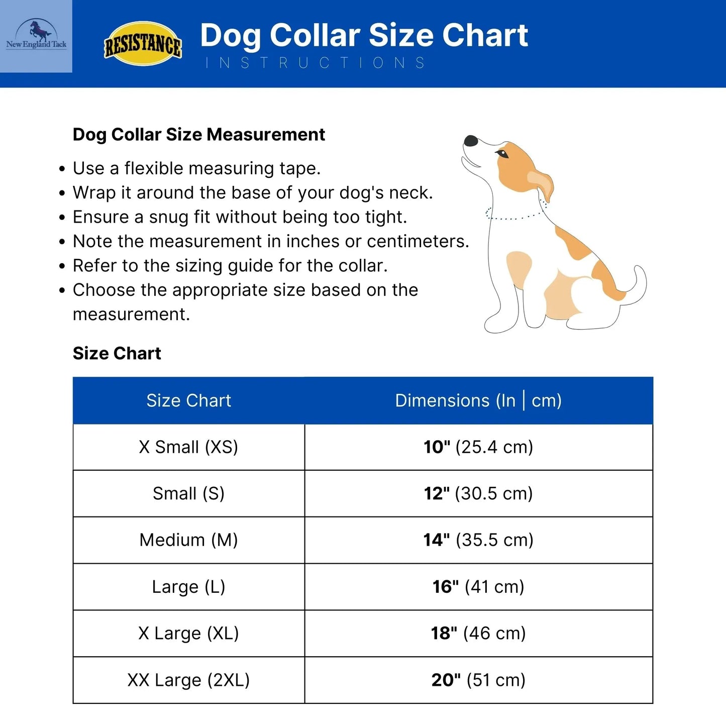 Argentinian Leather Dog Collar NewEngland Tack