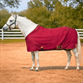 Resistance Horse Summer Sheet | Water Resistant 420D Ripstop Nylon TEXANTACK