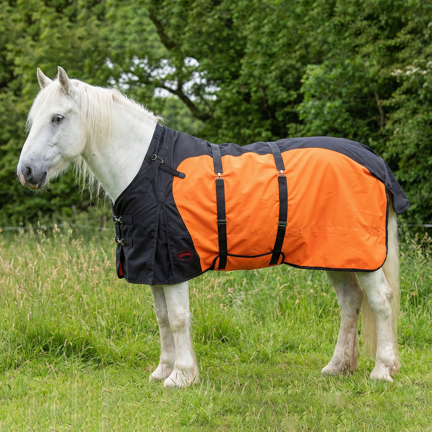 Resistance Premium 1200 Denier Belly Wrap Waterproof Horse Turnout Blanket - 300 Grams Fill NewEngland Tack