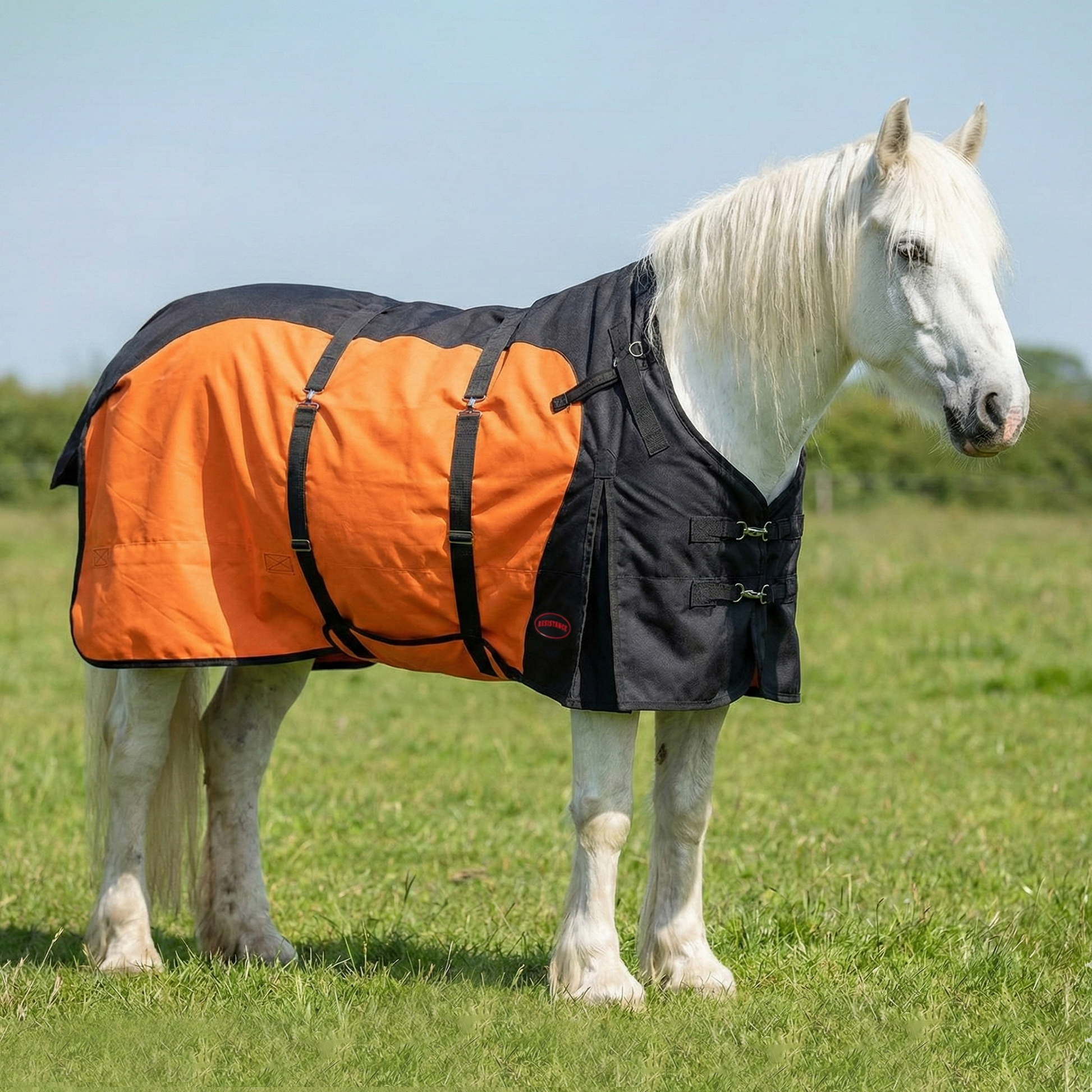Resistance Premium 1200 Denier Belly Wrap Waterproof Horse Turnout Blanket - 300 Grams Fill NewEngland Tack