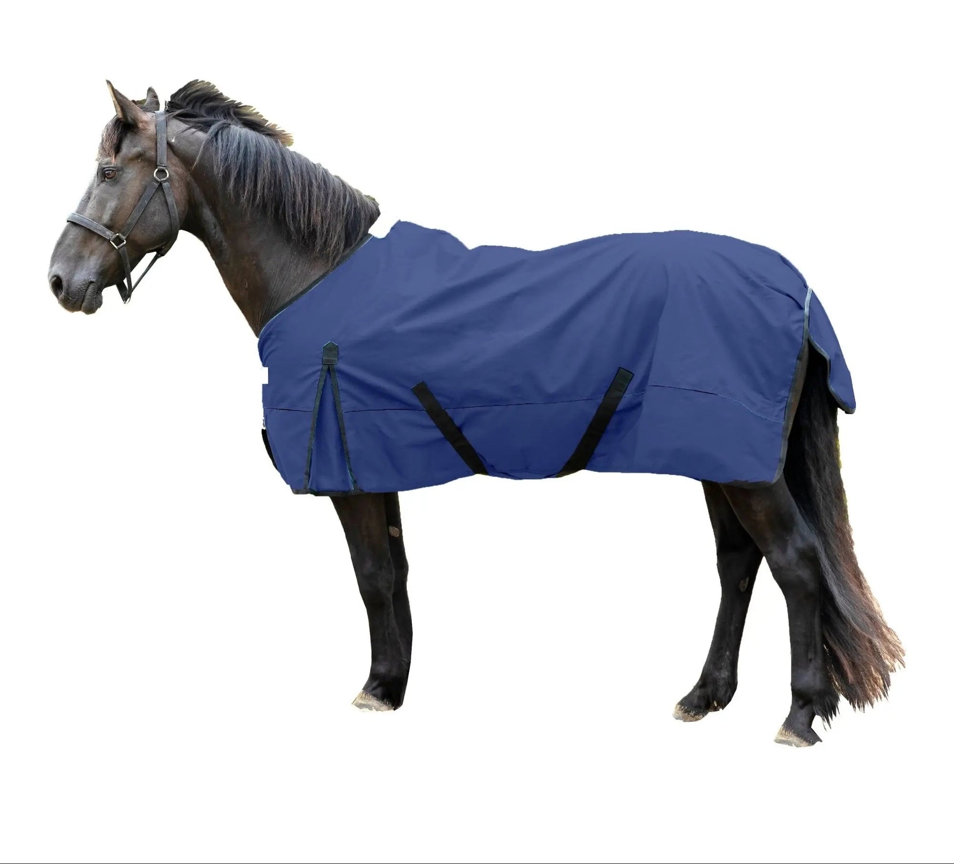 RESISTANCE 600 Denier Waterproof Turnout Blanket - 200 Gr Fill Lightweight and Breathable Horse Sheet Newenglandtack
