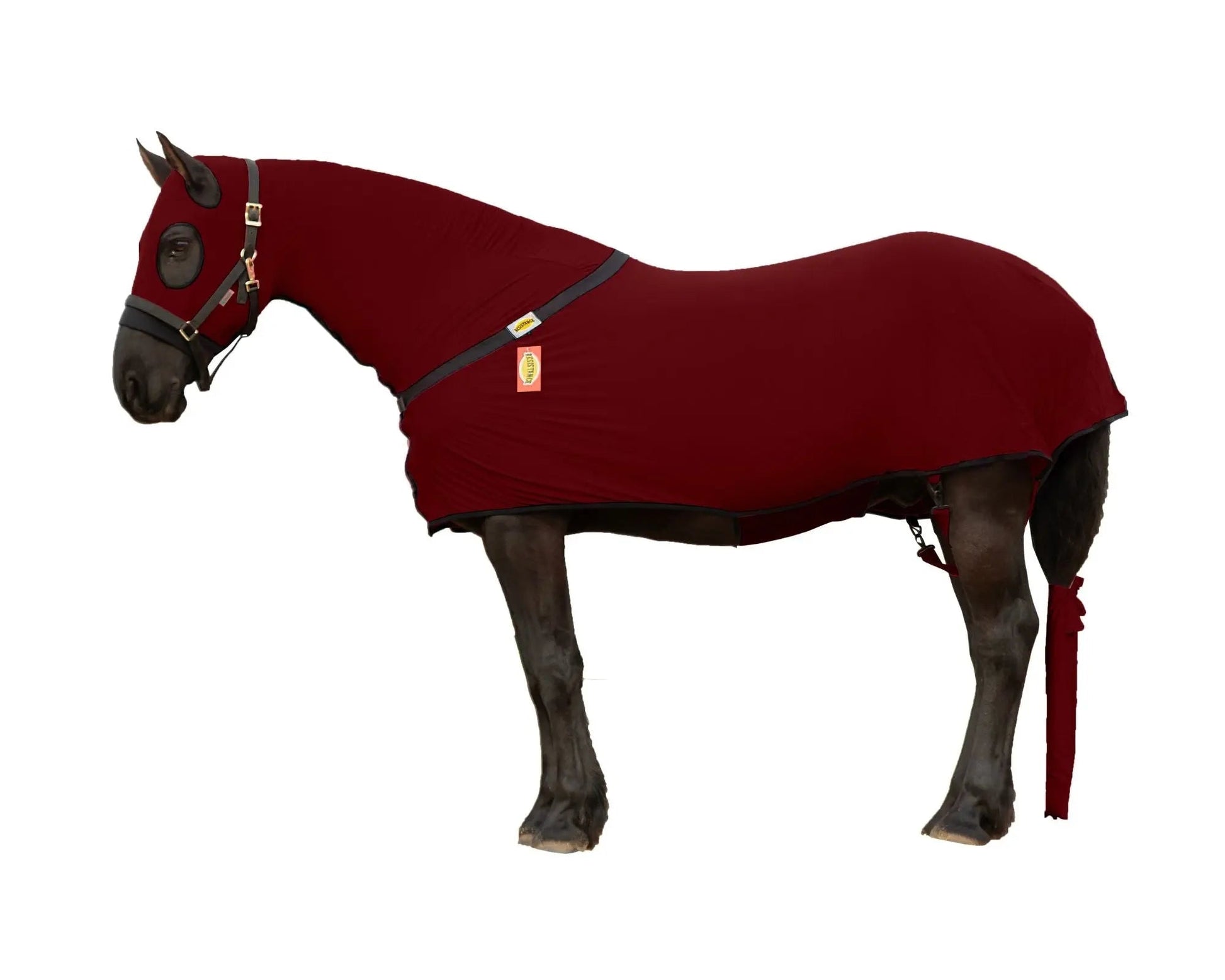 RESISTANCE Full Body Slinky with Full Zipper Slicker Hood and Belly Wrap NewEnglandTack