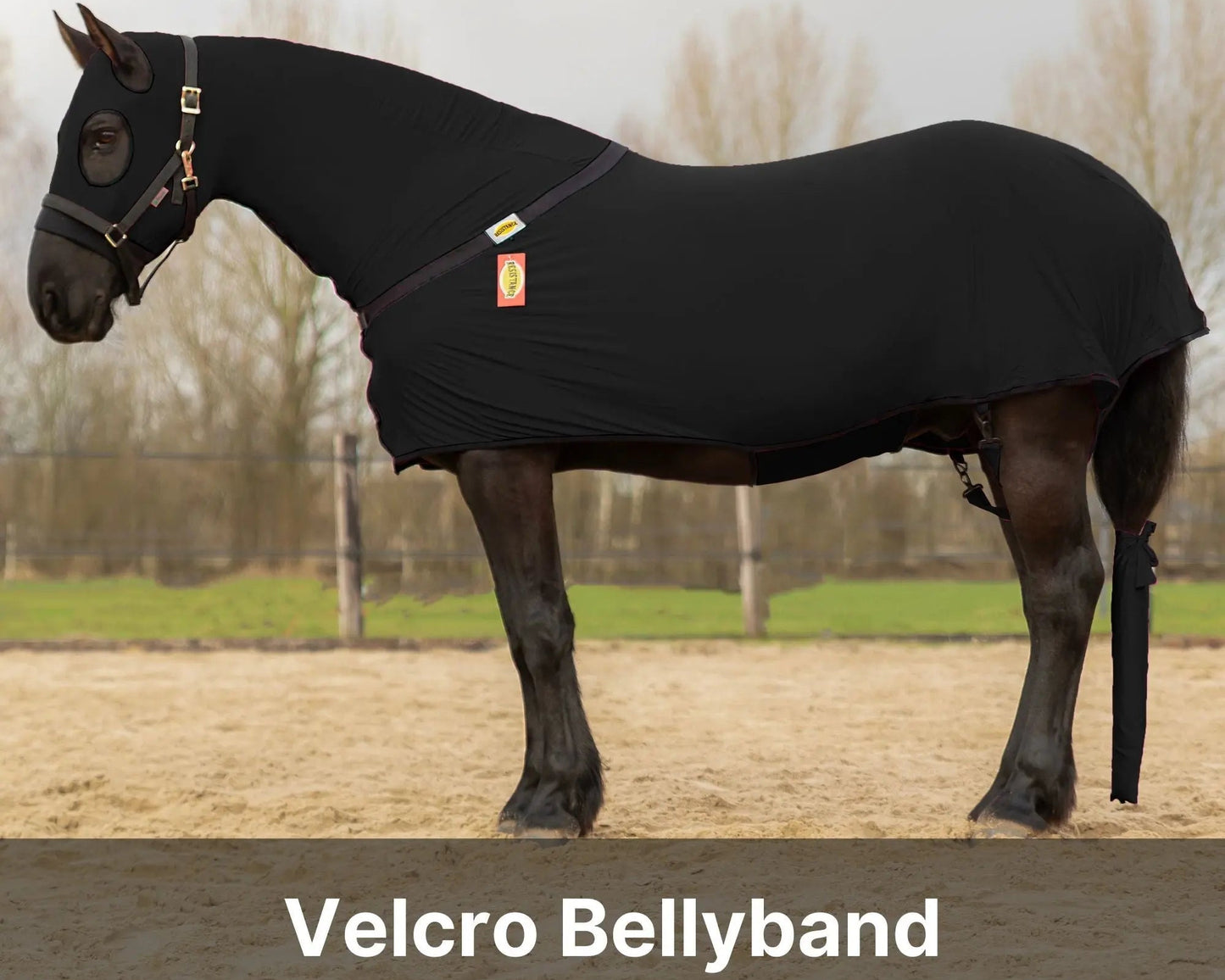RESISTANCE Full Body Slinky with Full Zipper Slicker Hood and Belly Wrap NewEnglandTack