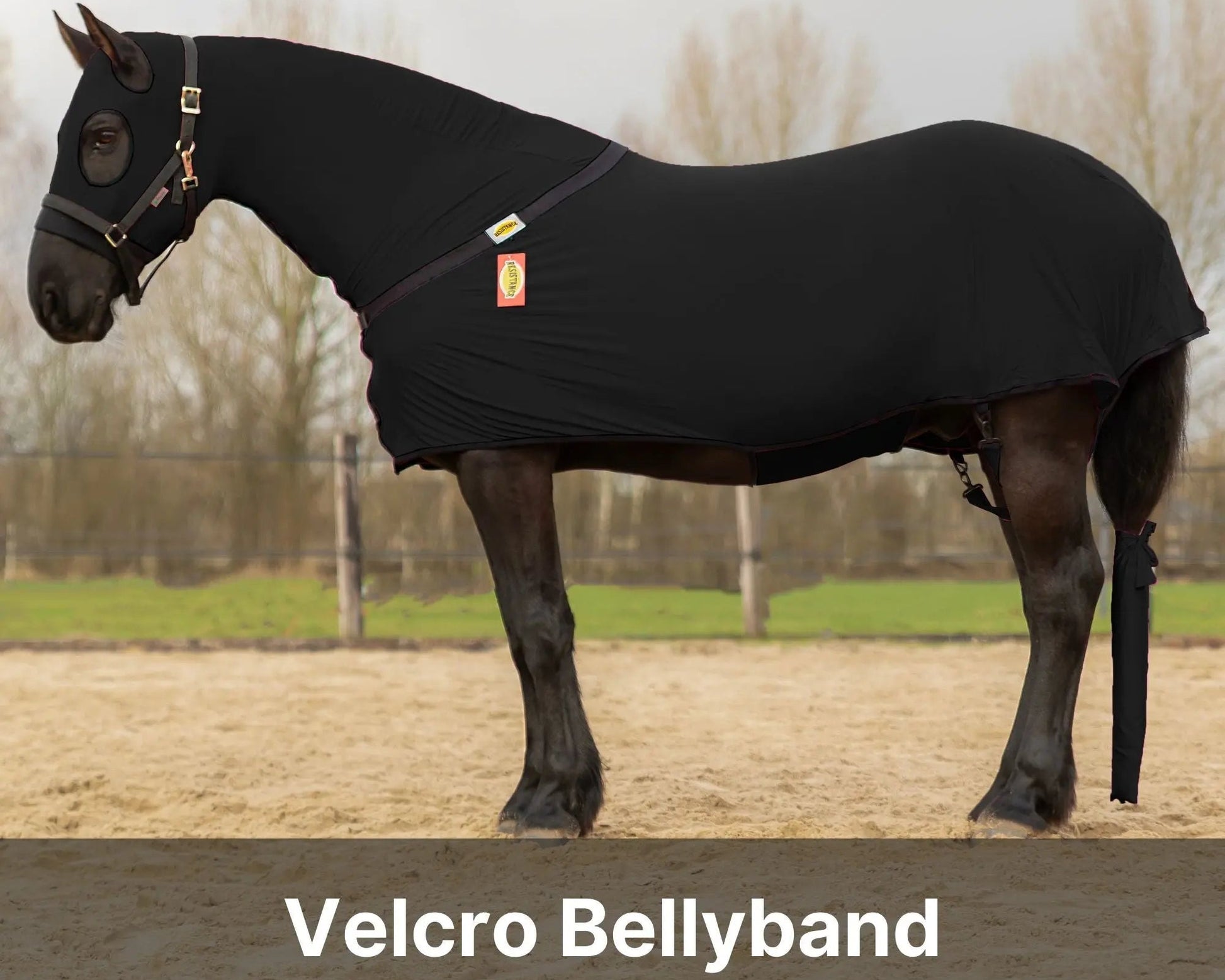 RESISTANCE Full Body Slinky with Full Zipper Slicker Hood and Belly Wrap NewEnglandTack