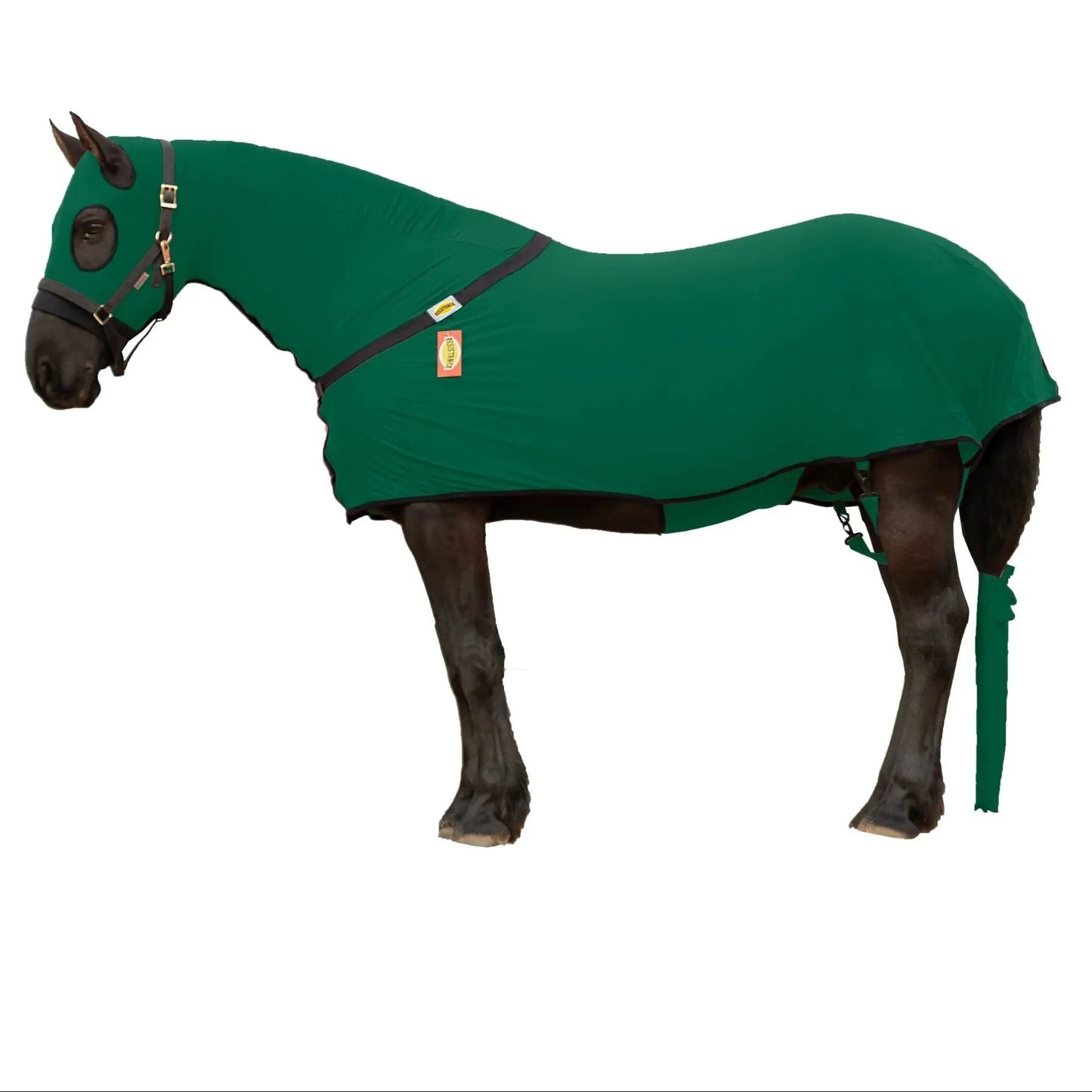 RESISTANCE Full Body Slinky with Full Zipper Slicker Hood and Belly Wrap Tack