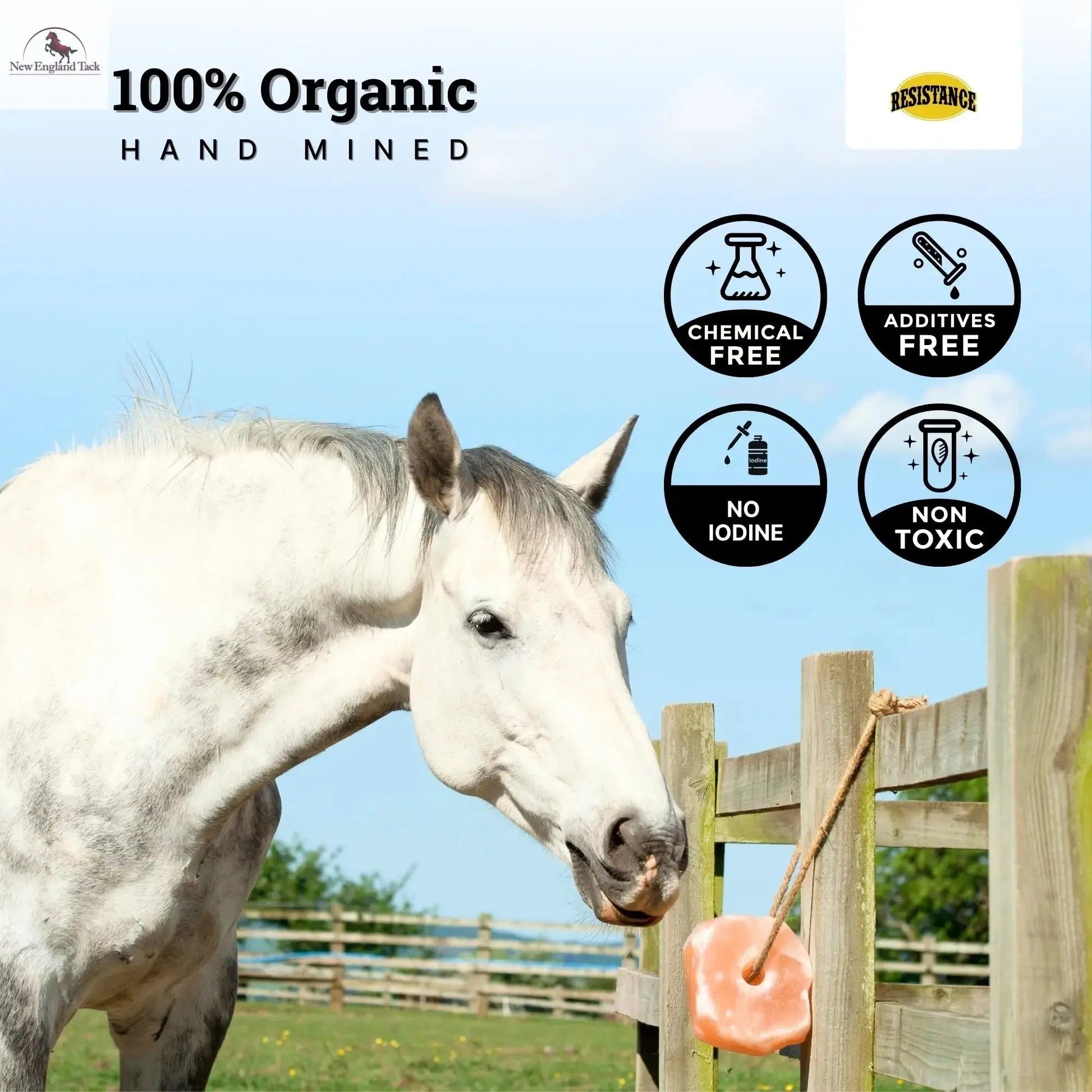 RESISTANCE Pink Himalayan Salt Lick Block with Rope for Horses, Cattle, Deer, Goats, and Livestock - 3 Lbs (Each Block Weight) NewEngland Tack