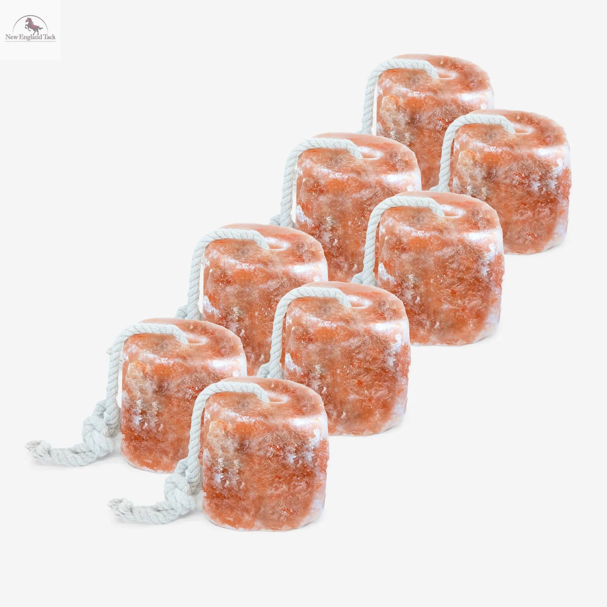 RESISTANCE Pink Himalayan Salt Lick Block with Rope for Horses, Cattle, Deer, Goats, and Livestock - 2 Lbs (Each Block Weight) NewEngland Tack