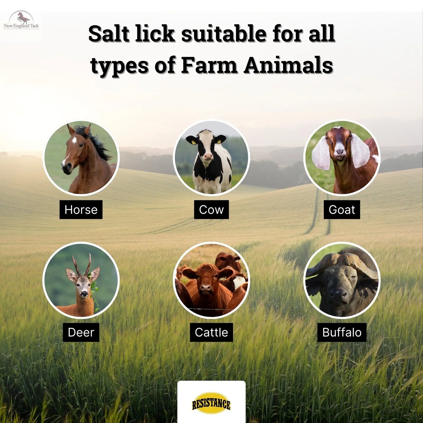 RESISTANCE Pink Himalayan Salt Lick Block with Rope for Horses, Cattle, Deer, Goats, and Livestock – 5 lbs, 16 lbs, and 25 lbs NewEngland Tack