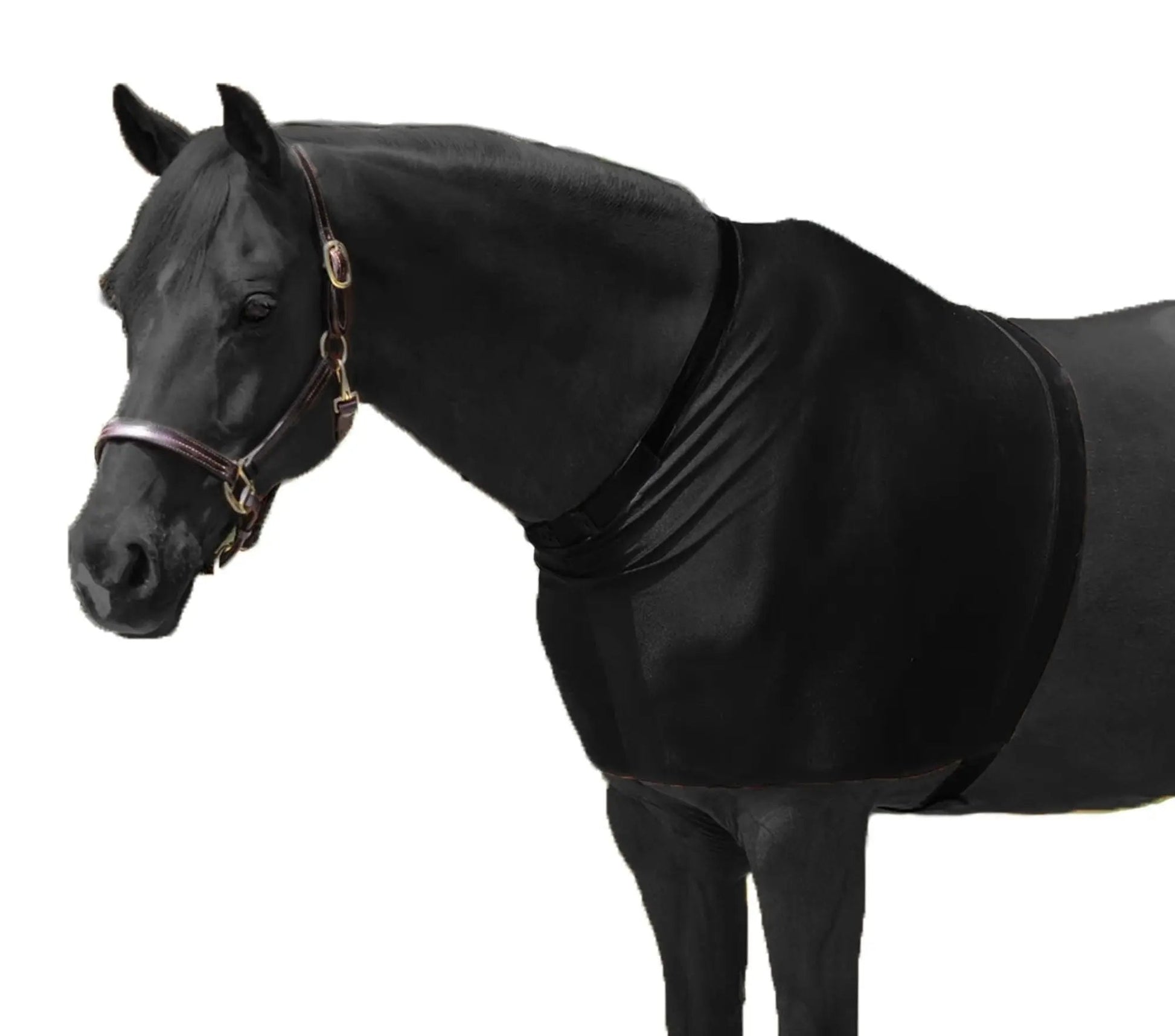 RESISTANCE Premium Lycra Horse Shoulder Guard - Lycra Material NewEngland Tack