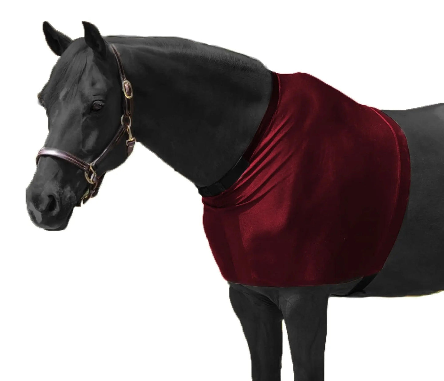 RESISTANCE Premium Lycra Horse Shoulder Guard - Lycra Material NewEngland Tack