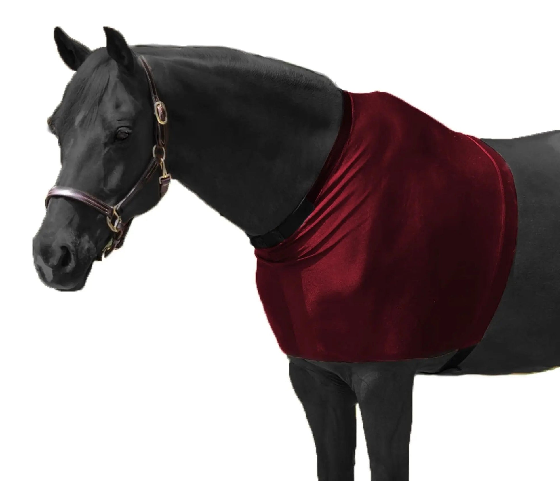 RESISTANCE Premium Lycra Horse Shoulder Guard - Lycra Material NewEngland Tack