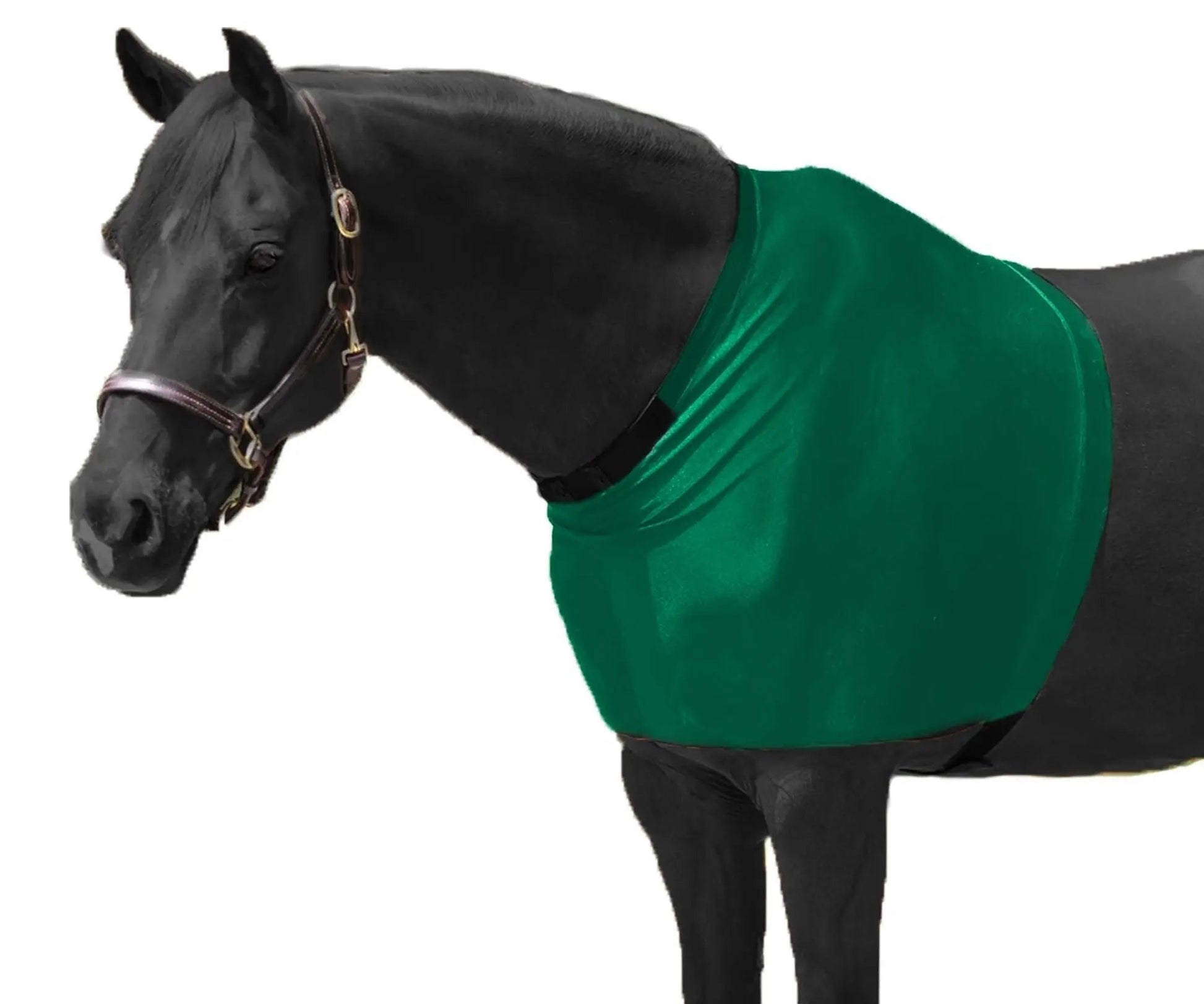 RESISTANCE Premium Lycra Horse Shoulder Guard - Lycra Material NewEngland Tack