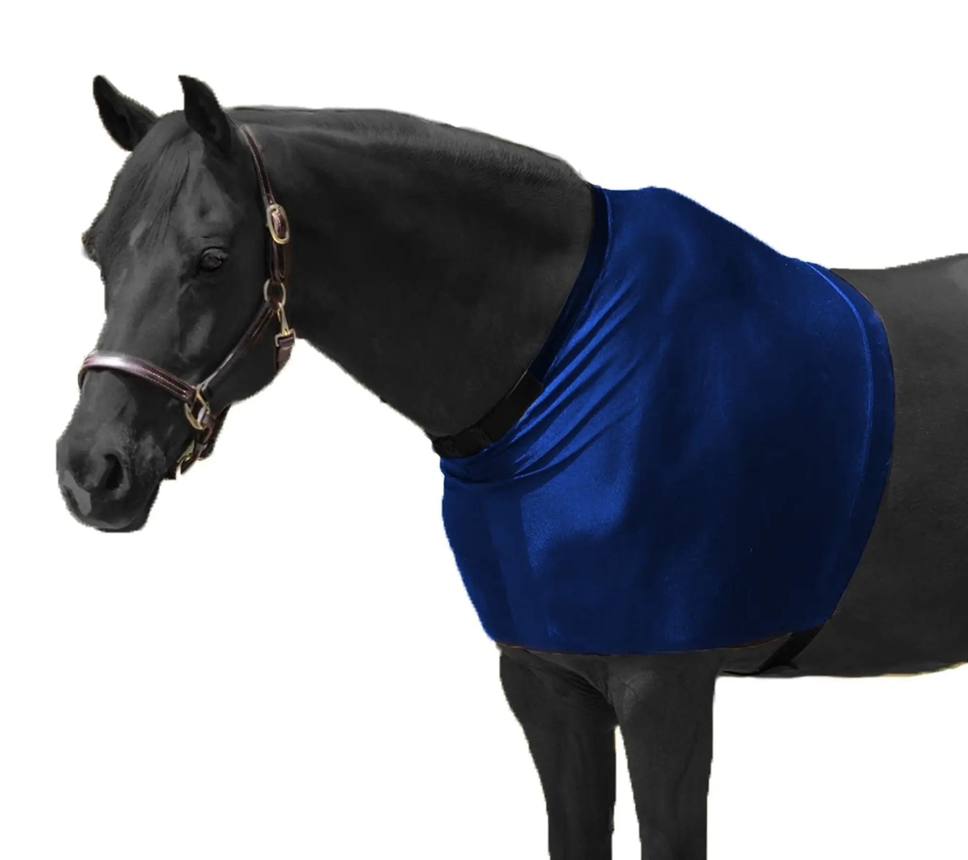 RESISTANCE Premium Lycra Horse Shoulder Guard - Lycra Material NewEngland Tack