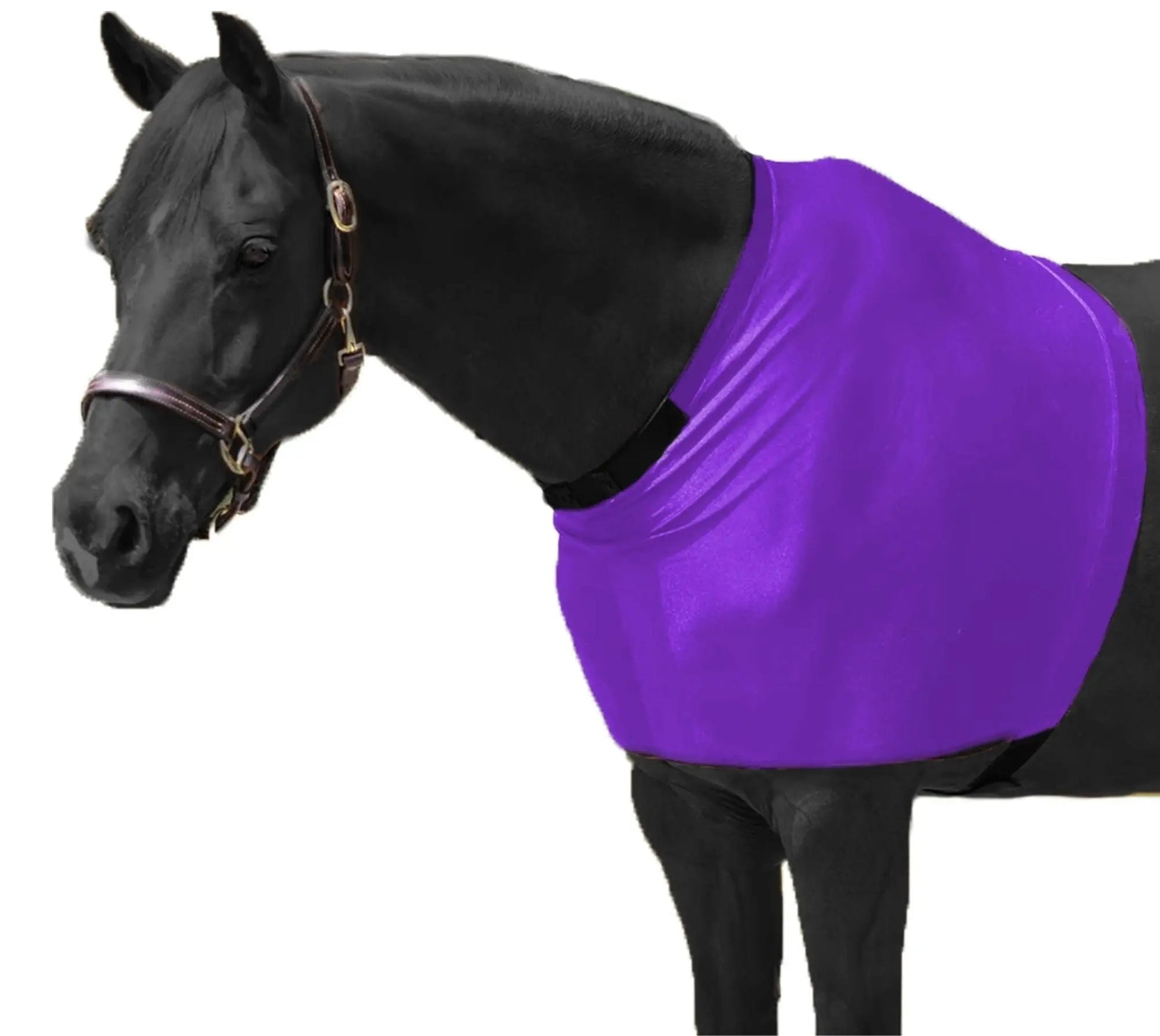 RESISTANCE Premium Lycra Horse Shoulder Guard - Lycra Material NewEngland Tack