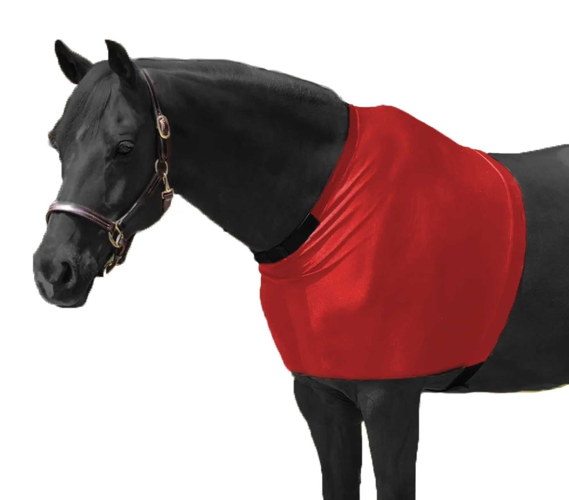 RESISTANCE Premium Lycra Horse Shoulder Guard - Lycra Material NewEngland Tack