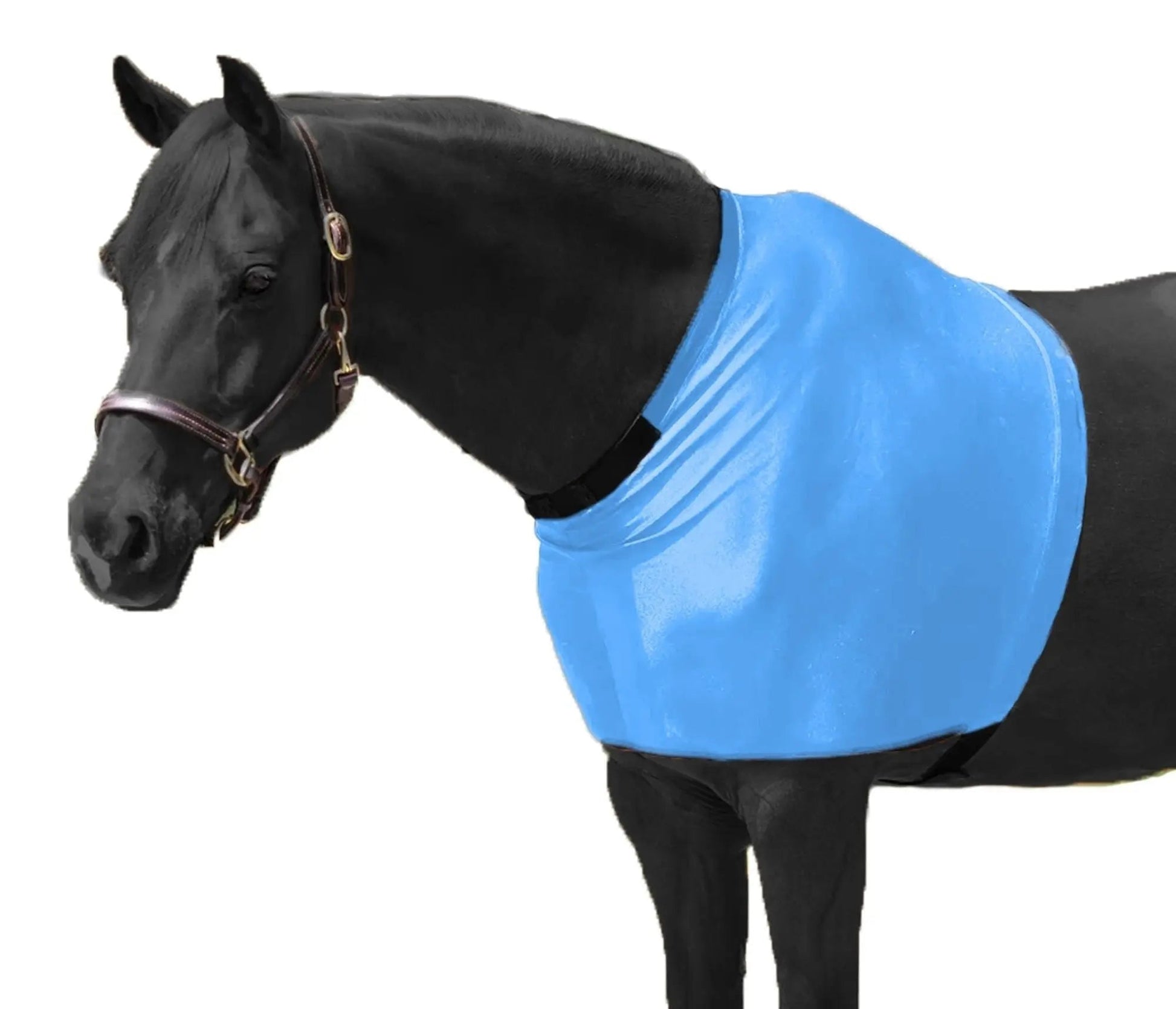 RESISTANCE Premium Lycra Horse Shoulder Guard - Lycra Material NewEngland Tack