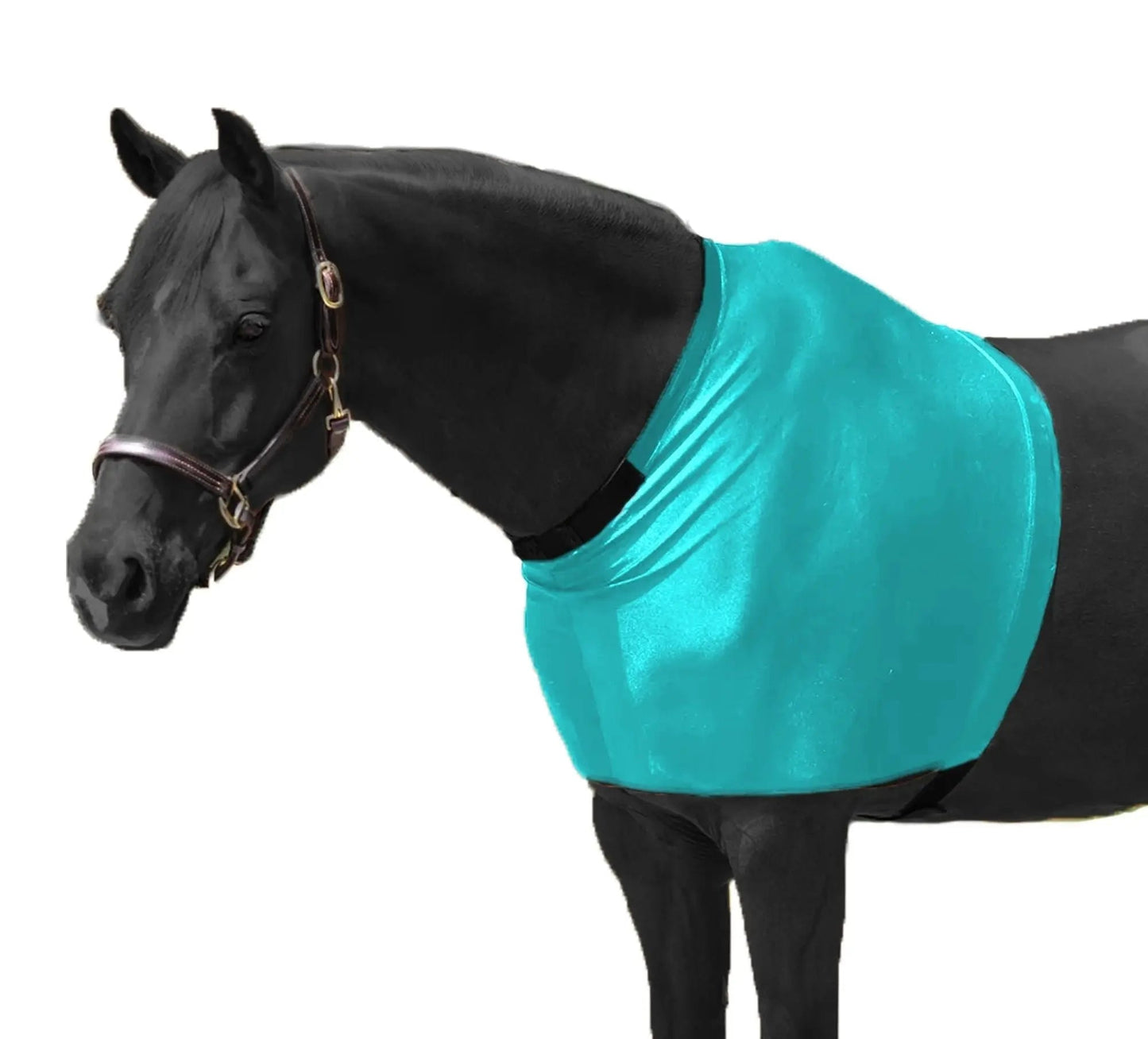 RESISTANCE Premium Lycra Horse Shoulder Guard - Lycra Material NewEngland Tack