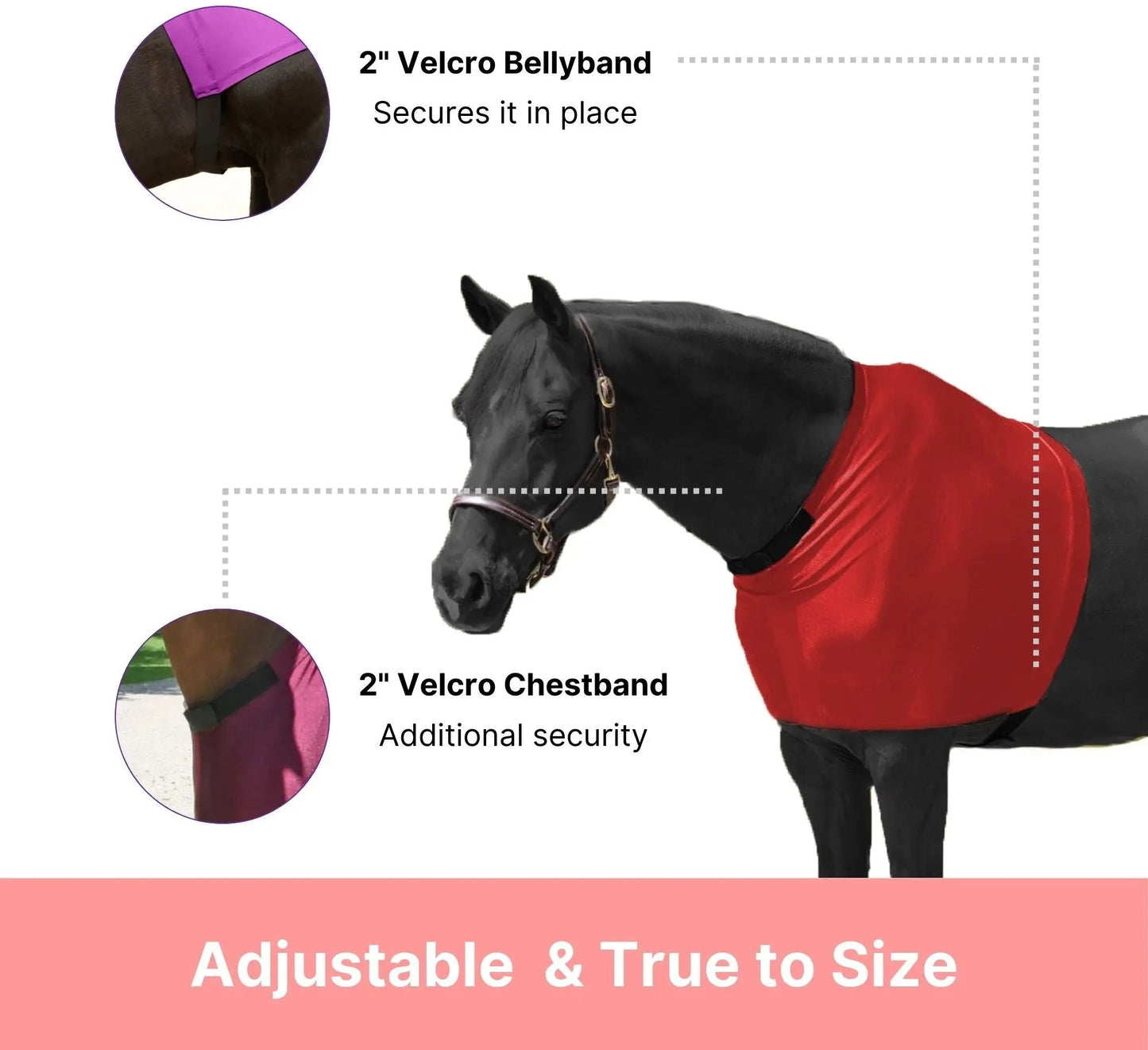 RESISTANCE Premium Lycra Horse Shoulder Guard - Lycra Material NewEngland Tack