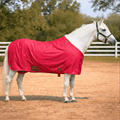 Resistance Horse Summer Sheet | Water Resistant 420D Ripstop Nylon TEXANTACK