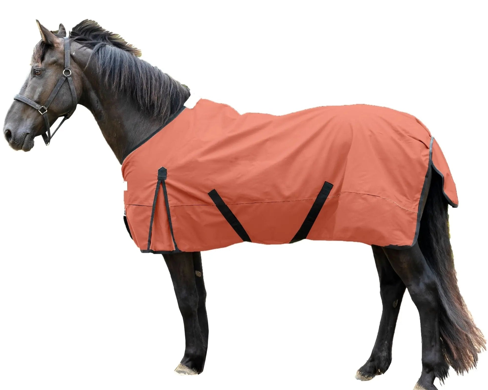 Resistance 1200 Denier Lightweight No Fill Water Resistant Breathable Horse Rain Sheet NewEngland Tack