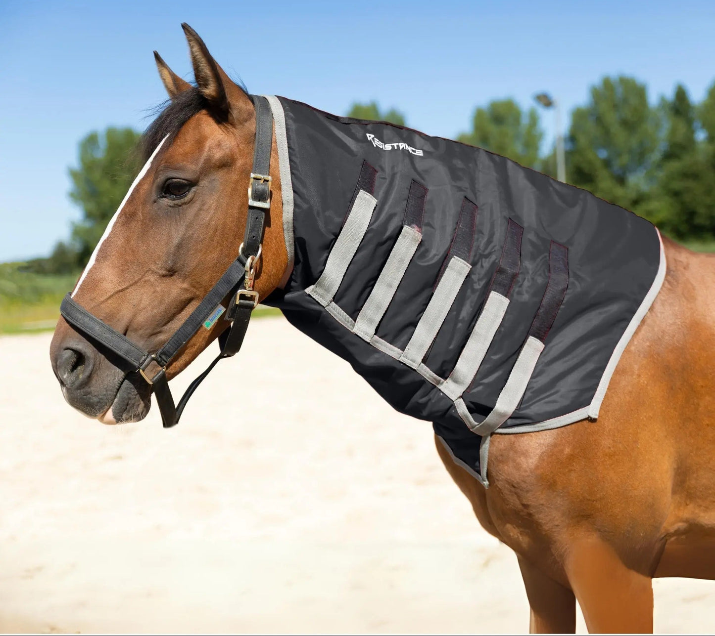 Resistance Lightweight Breathable Horse Neck Cover | Comfortable Waterproof Headless Hood (200 gm Fill) NewEngland Tack