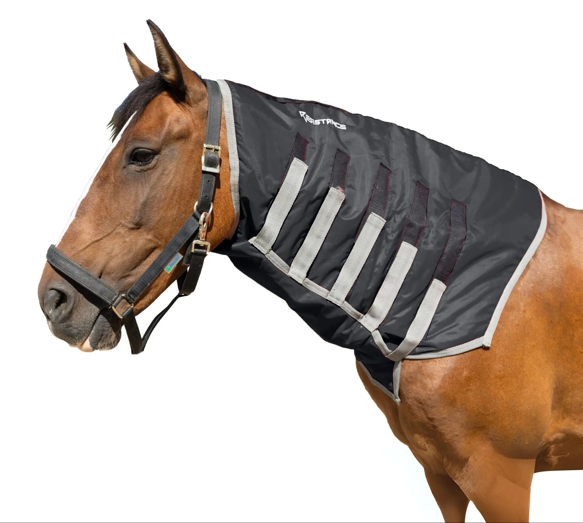 Resistance Lightweight Breathable Horse Neck Cover | Comfortable Waterproof Headless Hood (200 gm Fill) NewEngland Tack