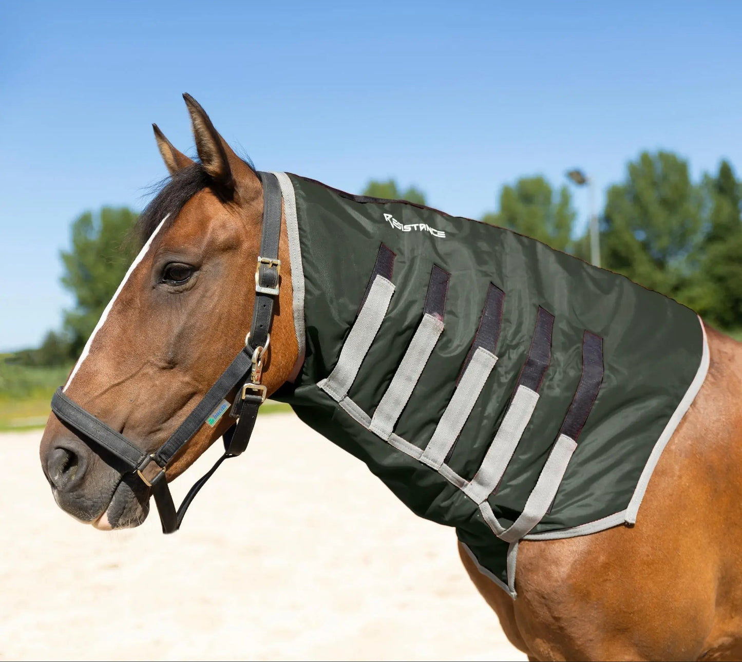 Resistance Lightweight Breathable Horse Neck Cover | Comfortable Waterproof Headless Hood (200 gm Fill) NewEngland Tack