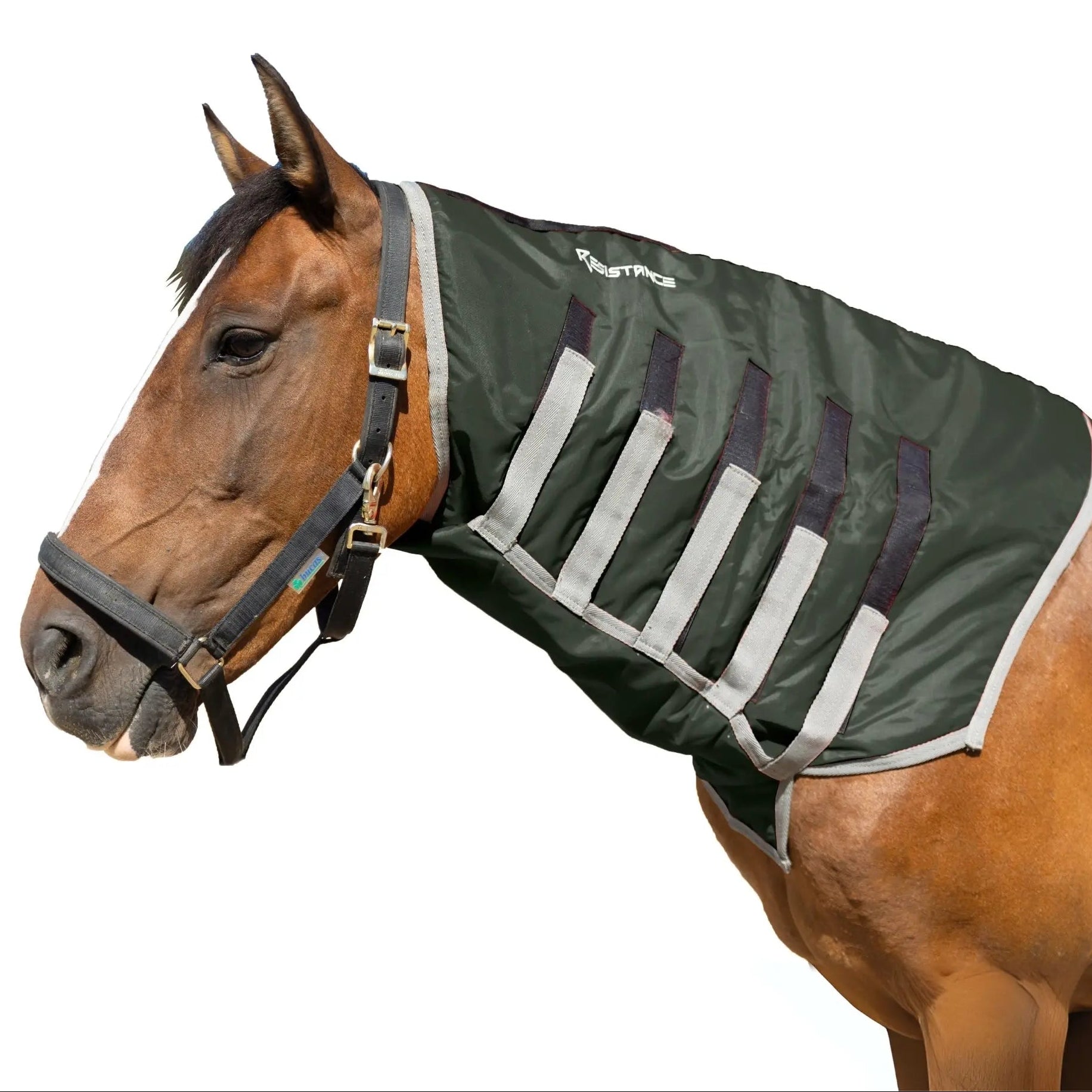 Resistance Lightweight Breathable Horse Neck Cover | Comfortable Waterproof Headless Hood (200 gm Fill) NewEngland Tack