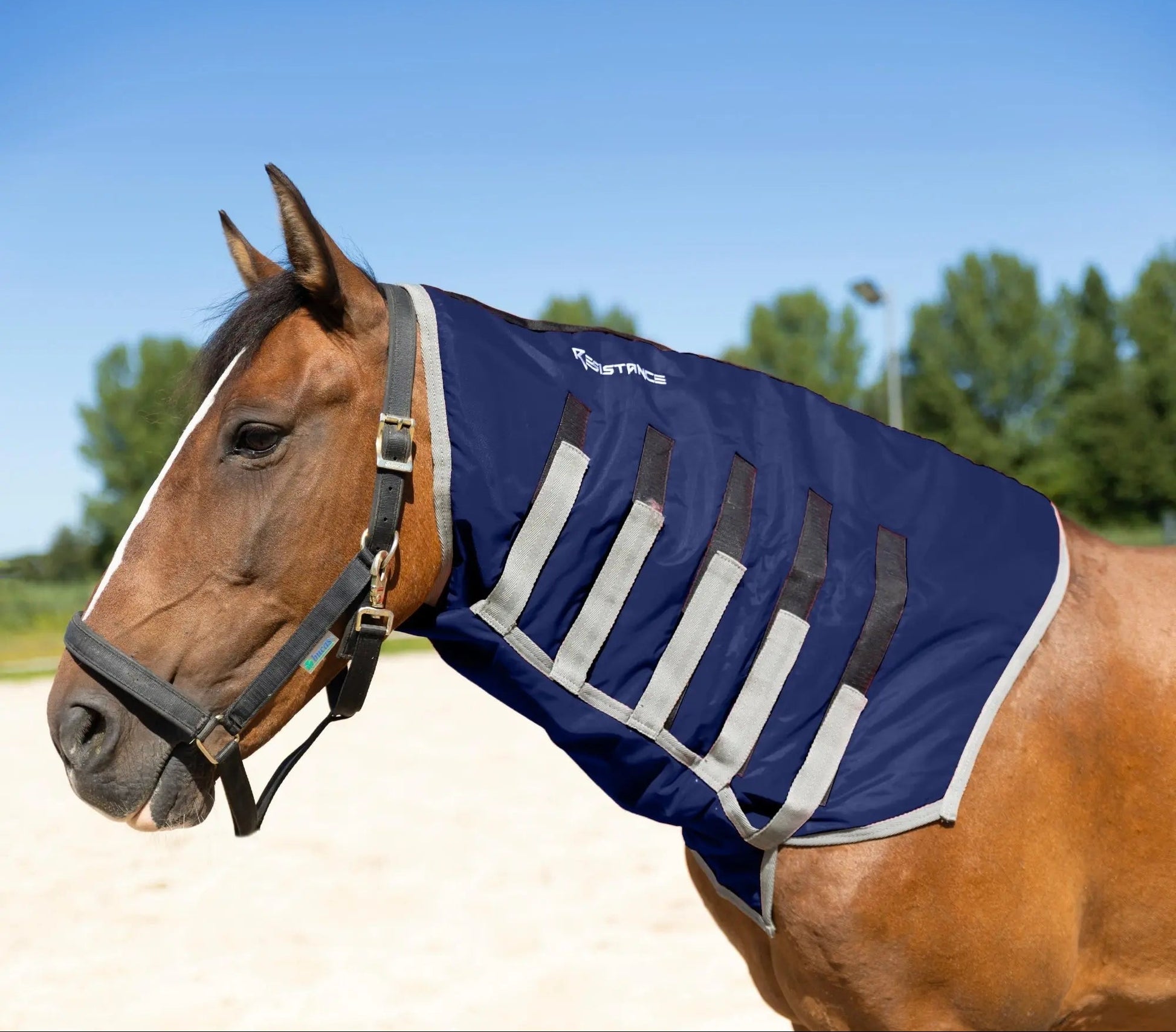 Resistance Lightweight Breathable Horse Neck Cover | Comfortable Waterproof Headless Hood (200 gm Fill) NewEngland Tack