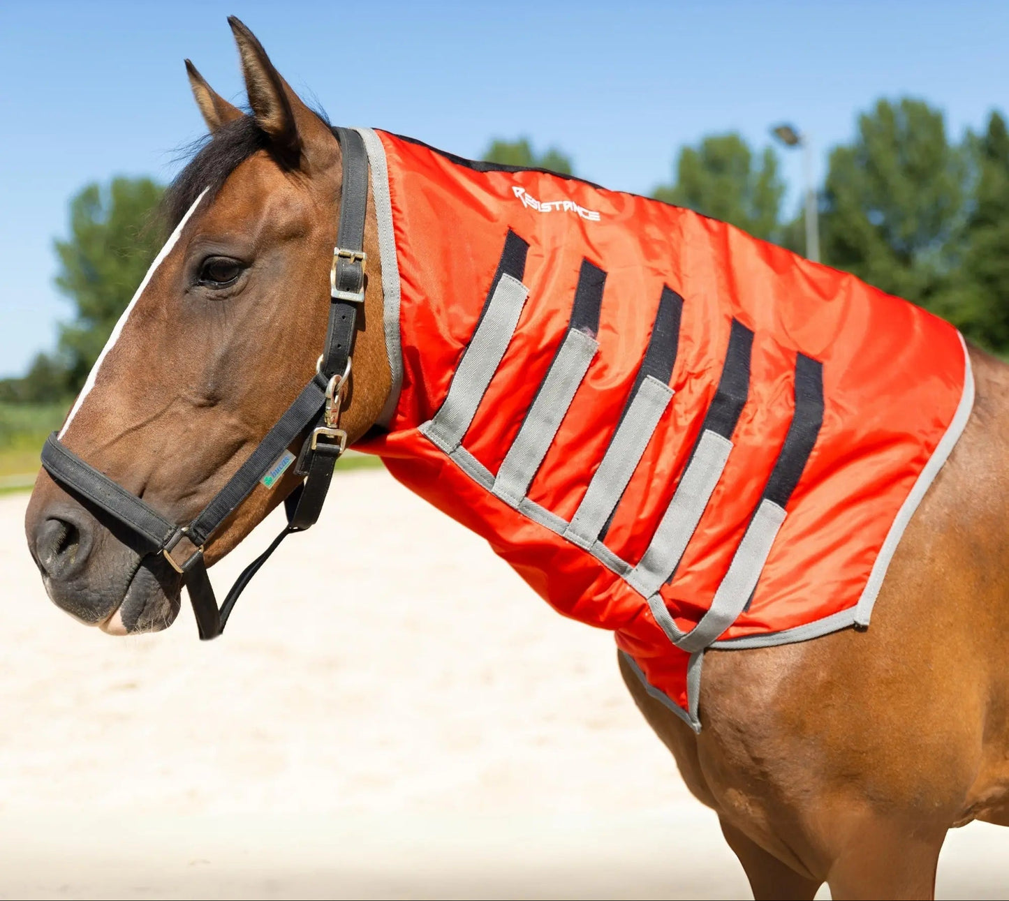 Resistance Lightweight Breathable Horse Neck Cover | Comfortable Waterproof Headless Hood (200 gm Fill) NewEngland Tack