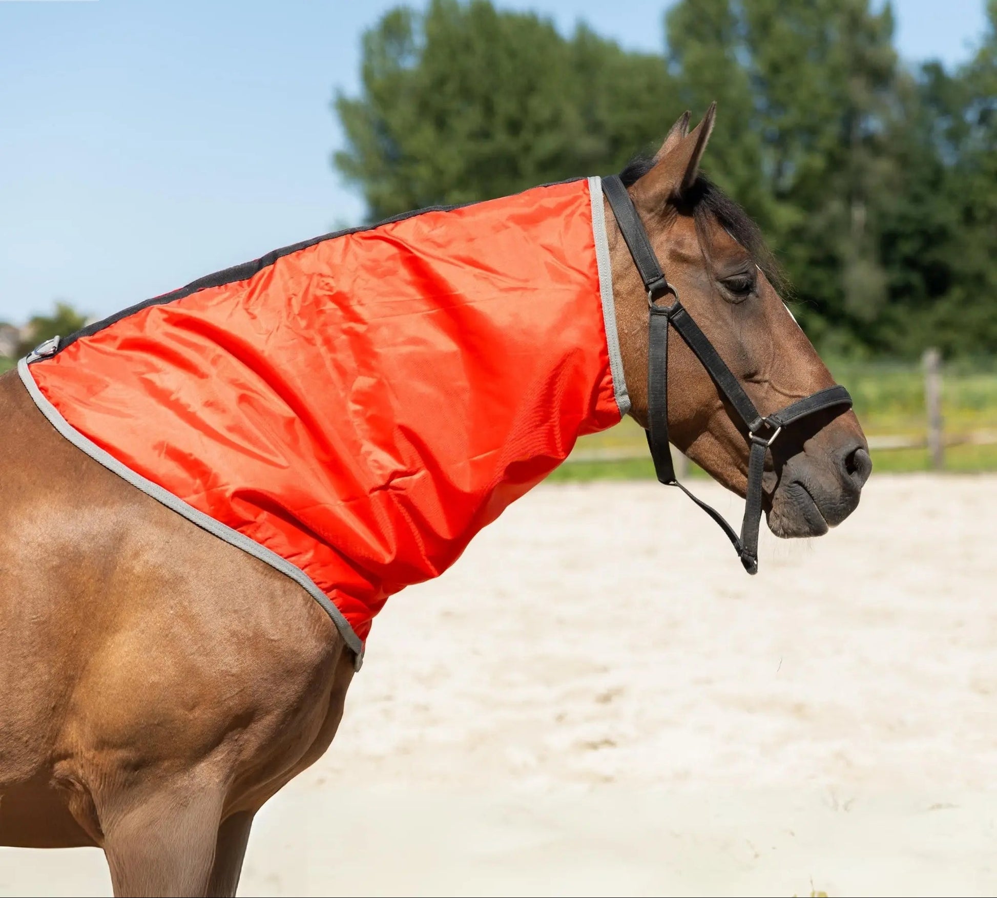 Resistance Lightweight Breathable Horse Neck Cover | Comfortable Waterproof Headless Hood (200 gm Fill) NewEngland Tack