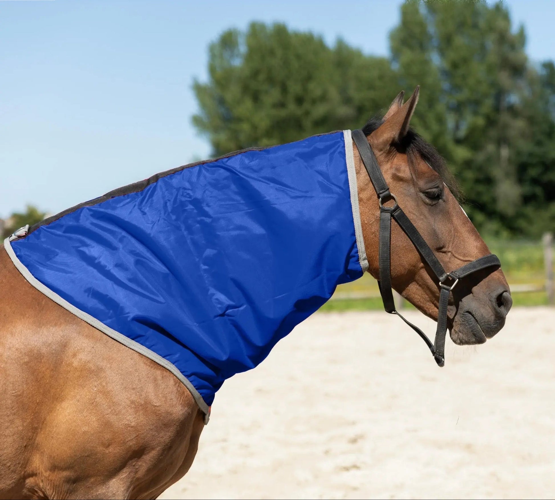 Resistance Lightweight Breathable Horse Neck Cover | Comfortable Waterproof Headless Hood (200 gm Fill) NewEngland Tack