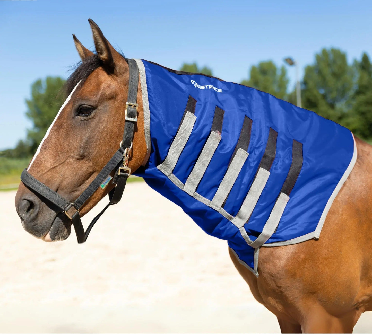 Resistance Lightweight Breathable Horse Neck Cover | Comfortable Waterproof Headless Hood (200 gm Fill) NewEngland Tack
