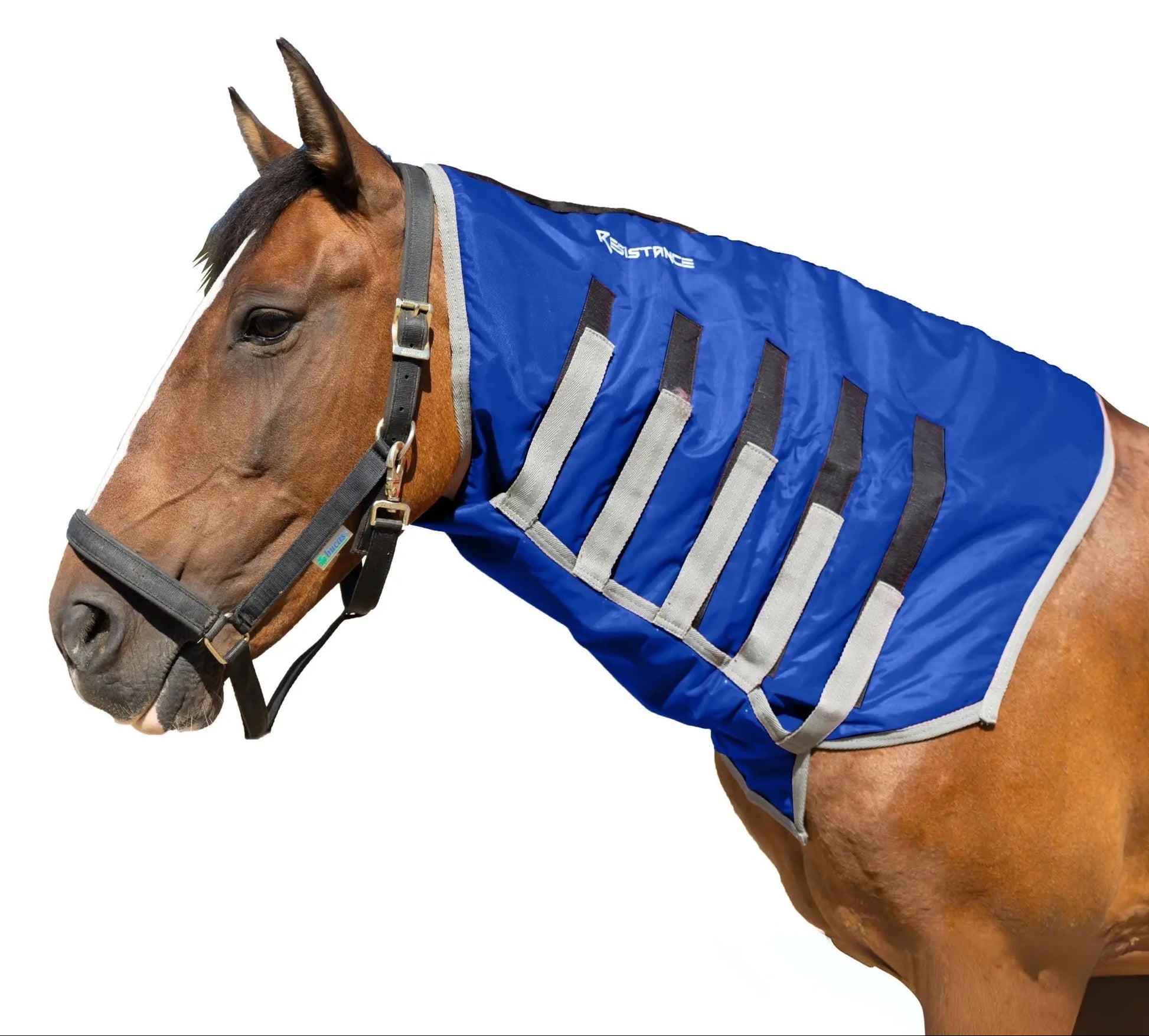 Resistance Lightweight Breathable Horse Neck Cover | Comfortable Waterproof Headless Hood (200 gm Fill) NewEngland Tack
