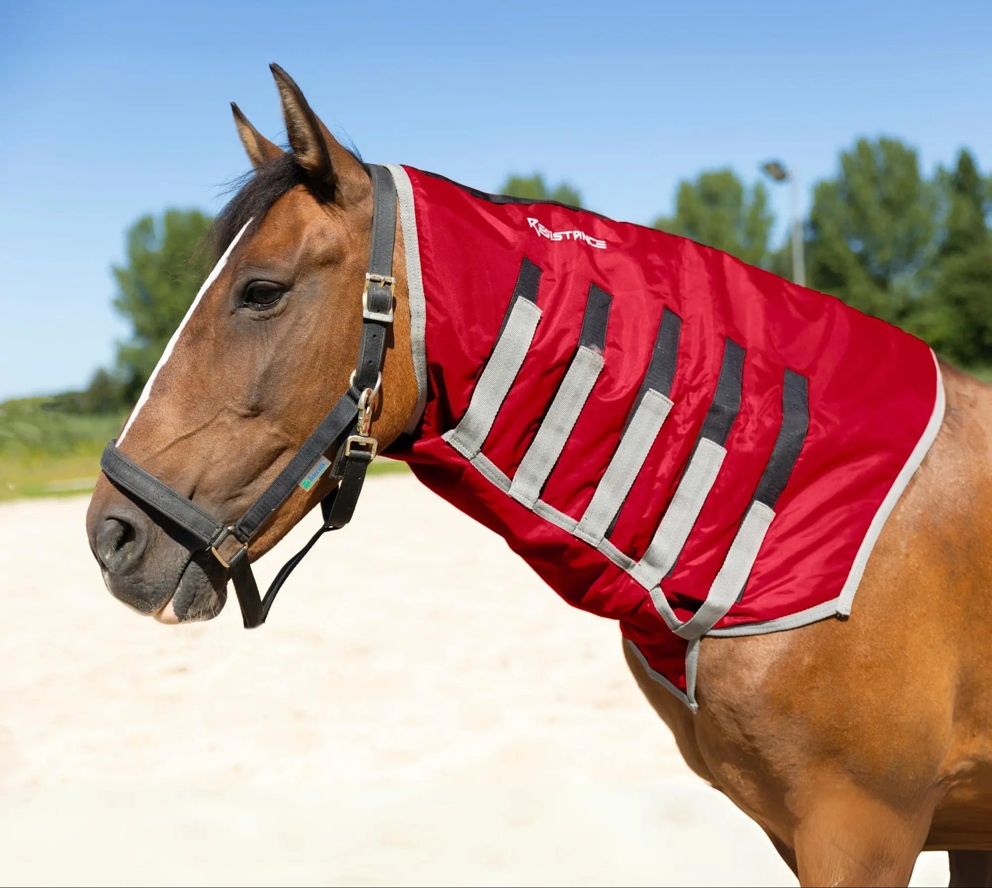 Resistance Lightweight Breathable Horse Neck Cover | Comfortable Waterproof Headless Hood (200 gm Fill) NewEngland Tack