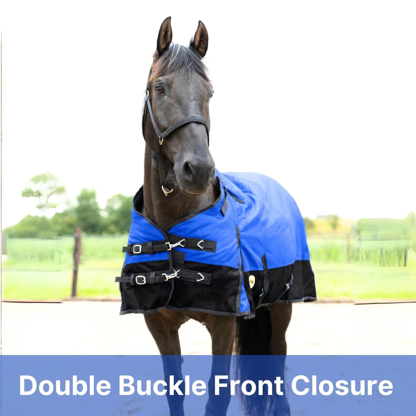 Resistance Premium 1200 Denier Waterproof Horse Turnout Blanket - 300 Grams Fill NewEngland Tack