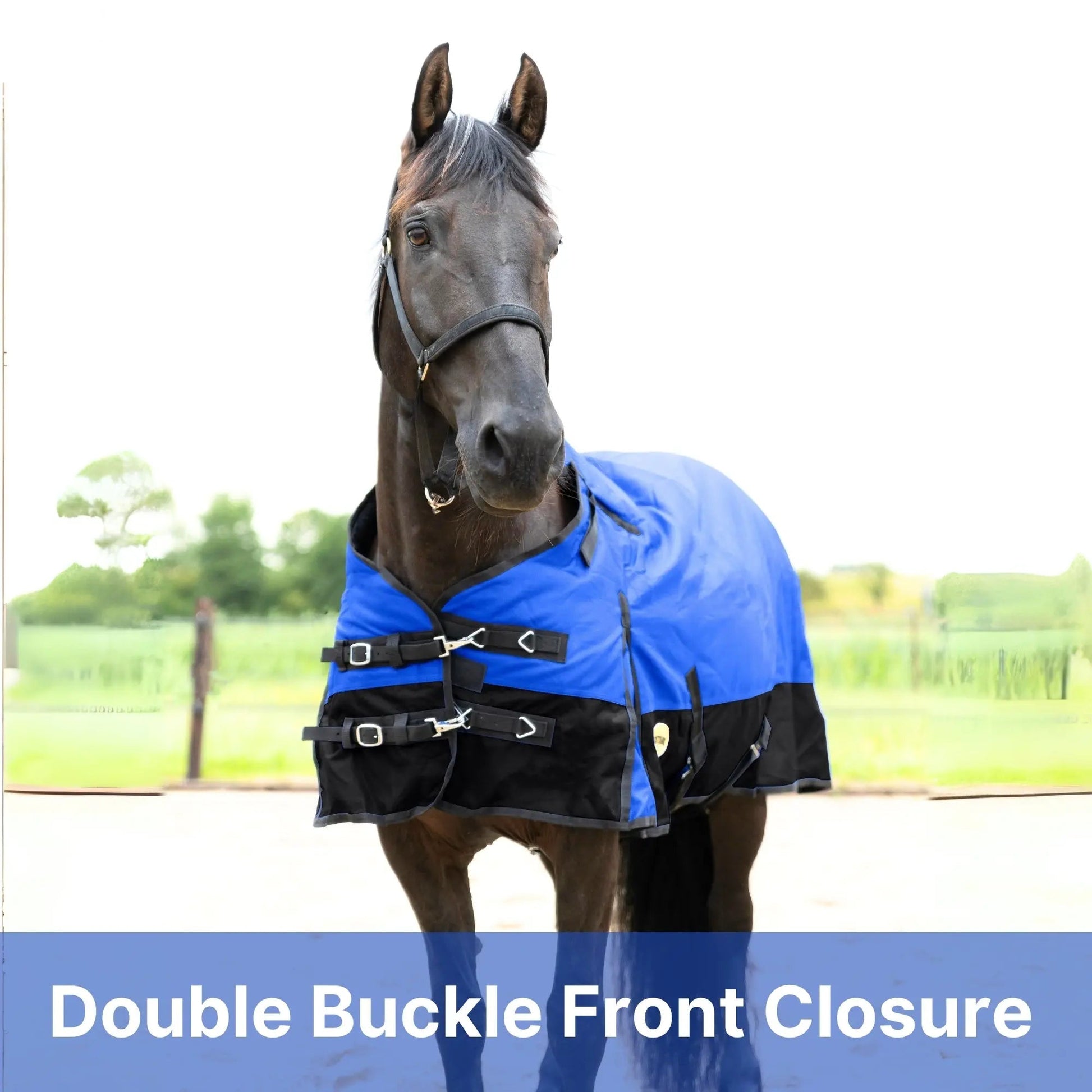 Resistance Premium 1200 Denier Waterproof Horse Turnout Blanket - 300 Grams Fill NewEngland Tack