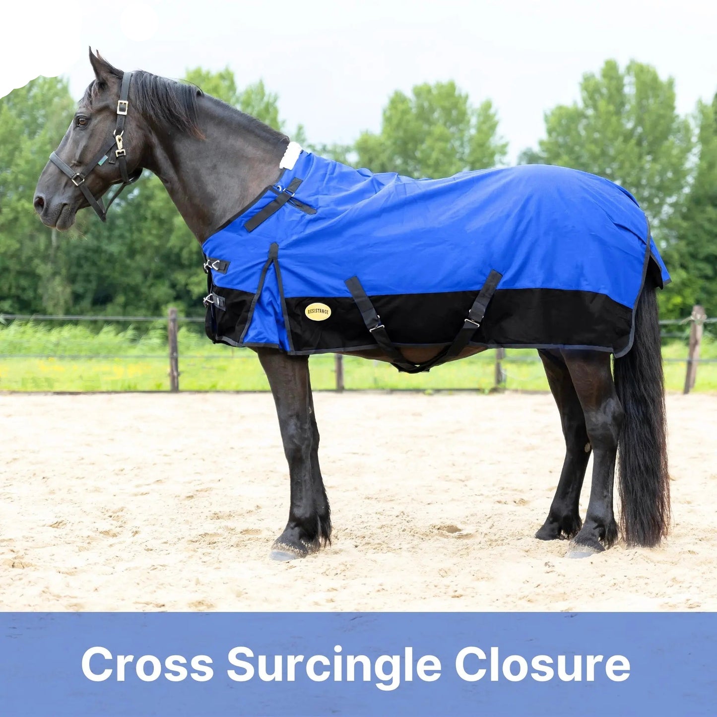 Resistance Premium 1200 Denier Waterproof Horse Turnout Blanket - 300 Grams Fill NewEngland Tack