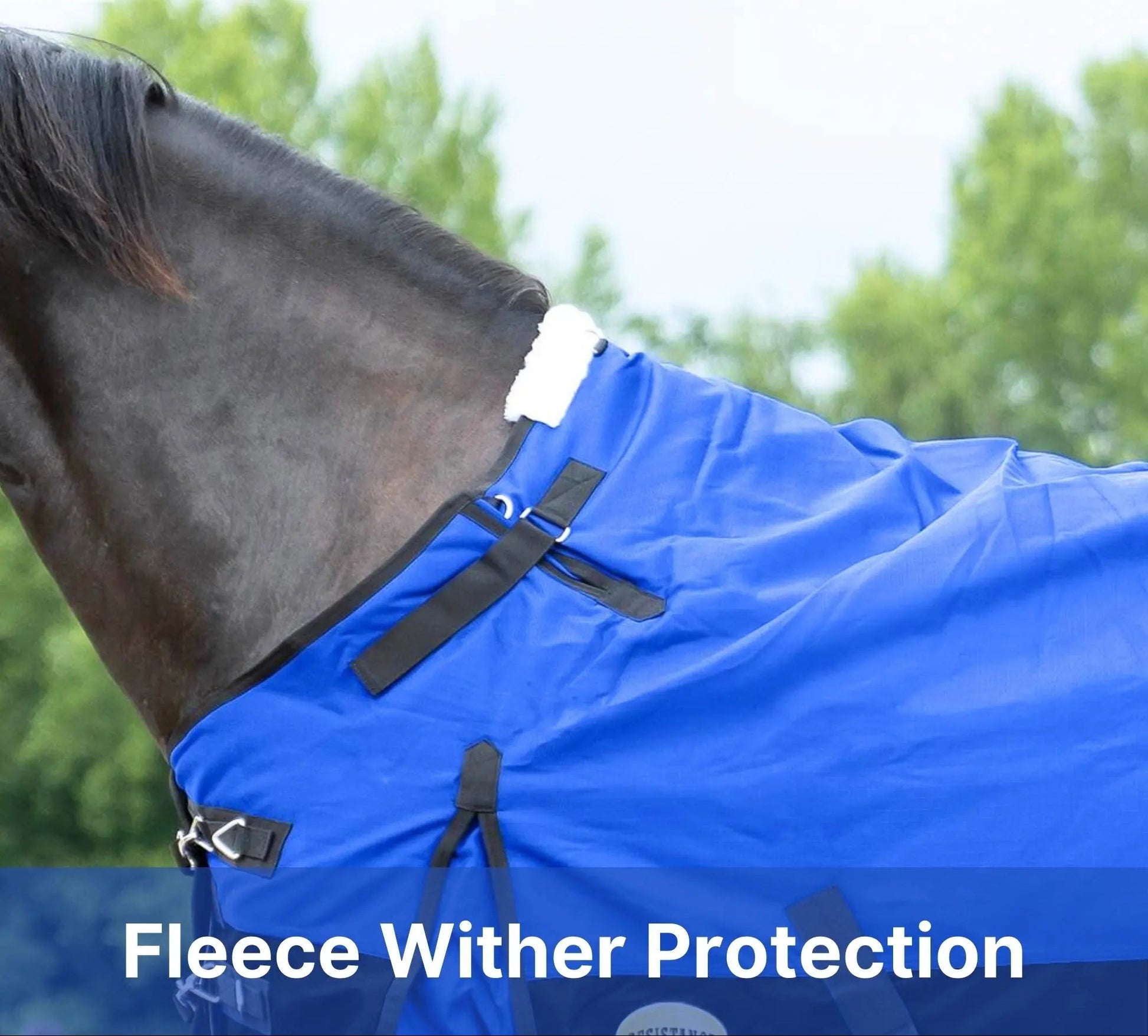 Resistance Premium 1200 Denier Waterproof Horse Turnout Blanket - 300 Grams Fill NewEngland Tack