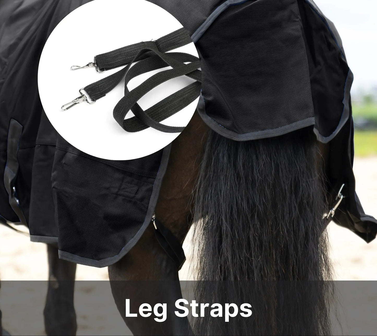 Resistance Premium 1200 Denier Waterproof Horse Turnout Blanket - 300 Grams Fill NewEngland Tack