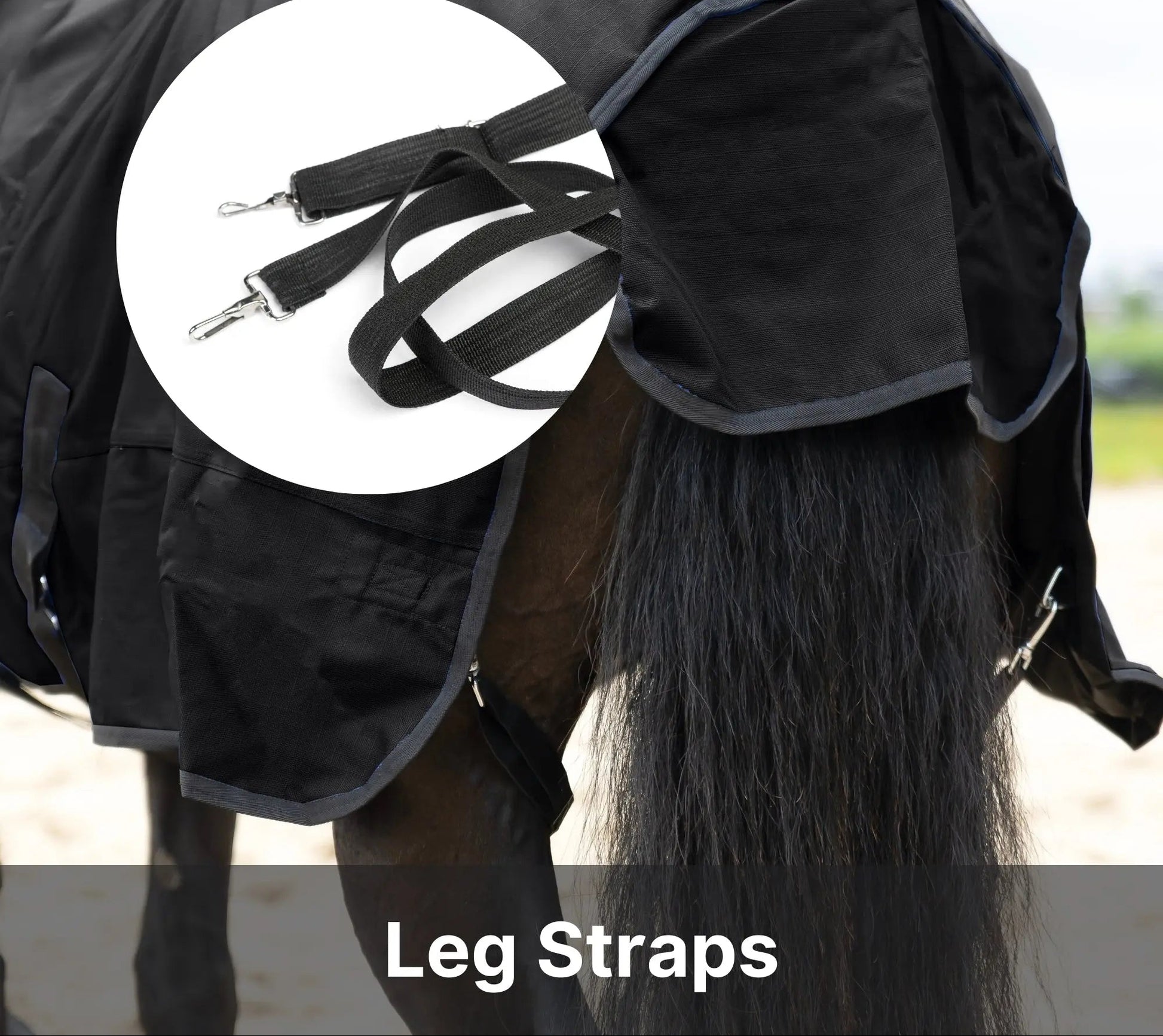 Resistance Premium 1200 Denier Waterproof Horse Turnout Blanket - 300 Grams Fill NewEngland Tack