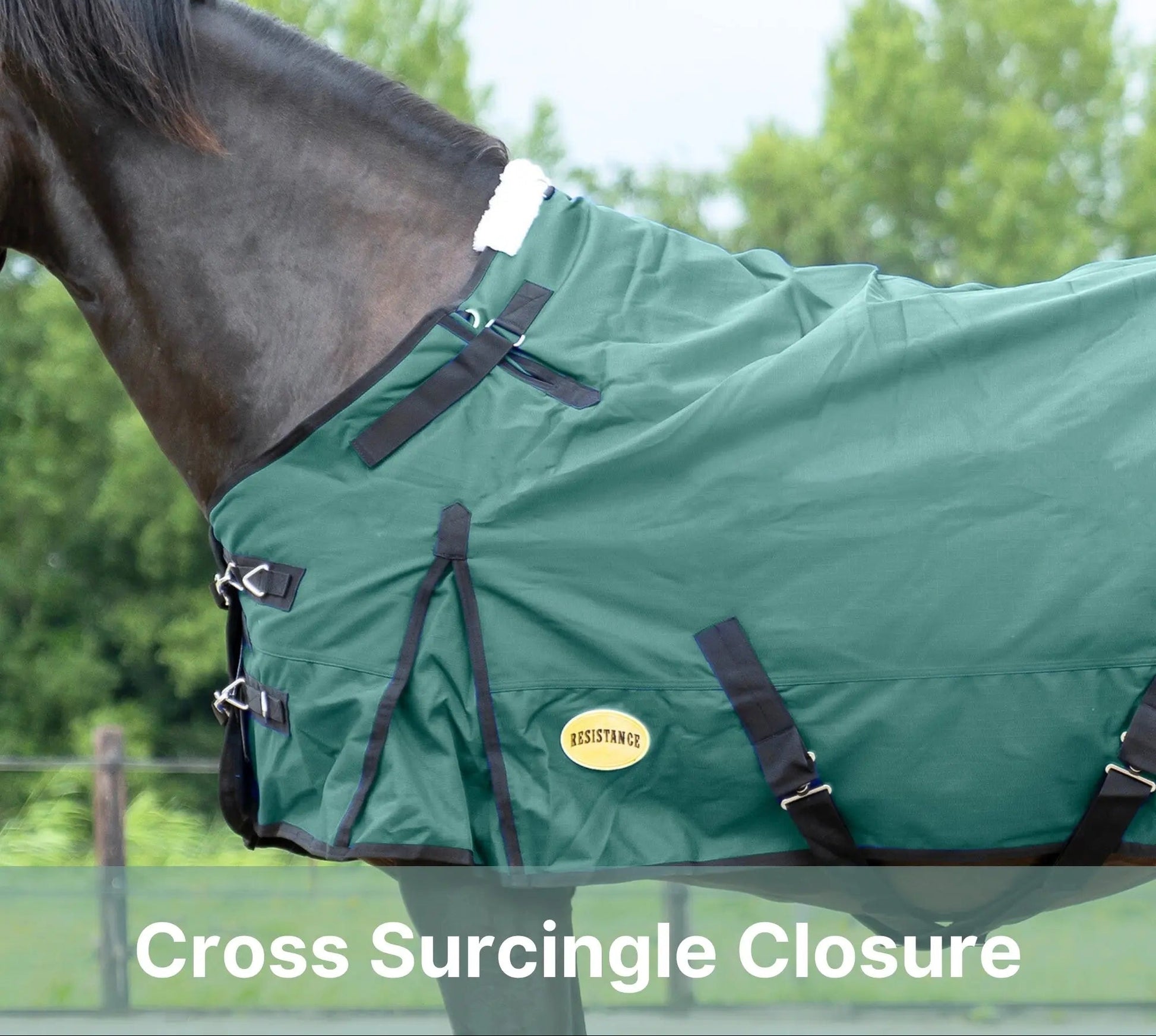 Resistance Premium 1200 Denier Waterproof Horse Turnout Blanket - 300 Grams Fill NewEngland Tack